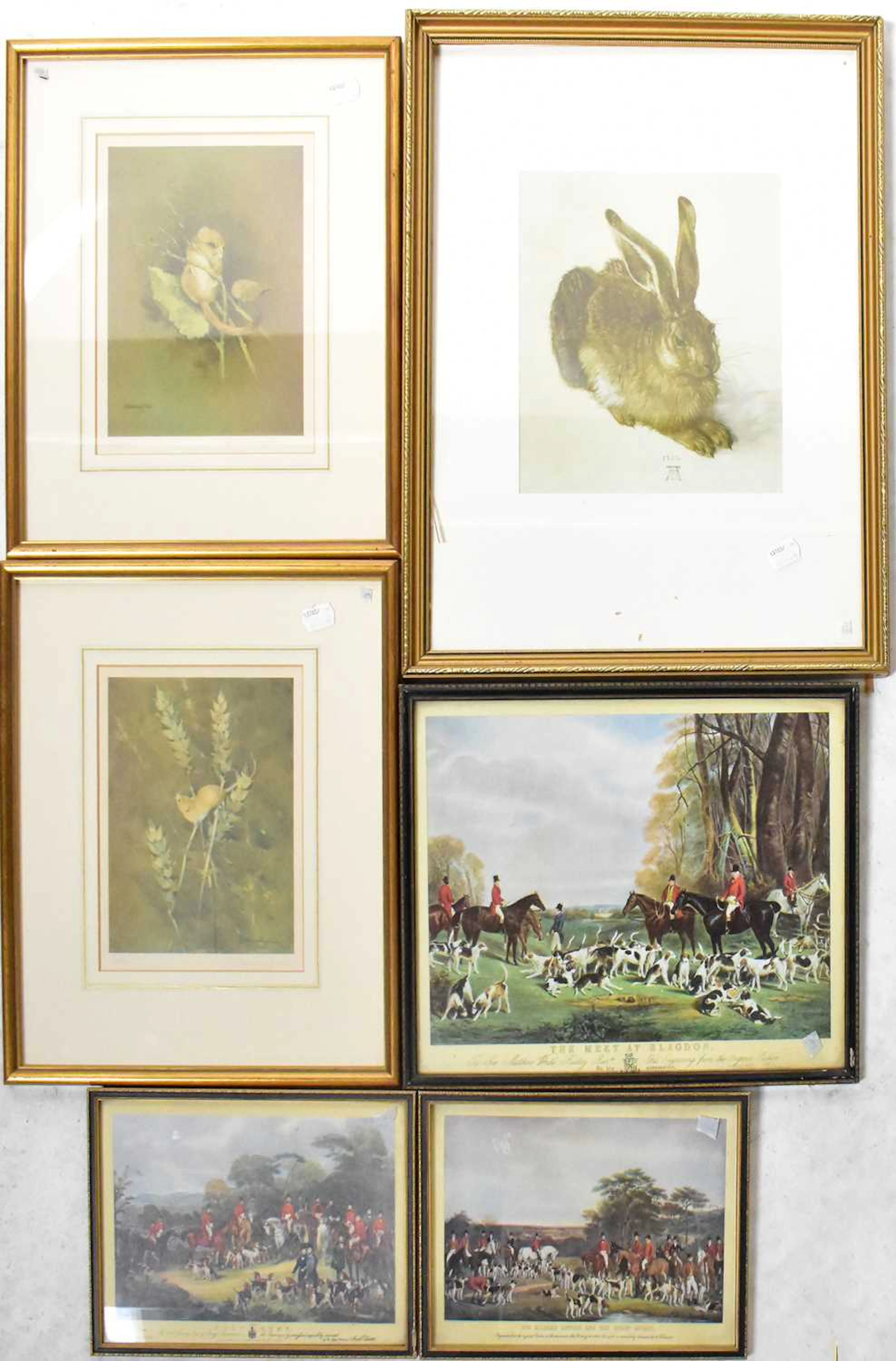 Six prints relating to animals