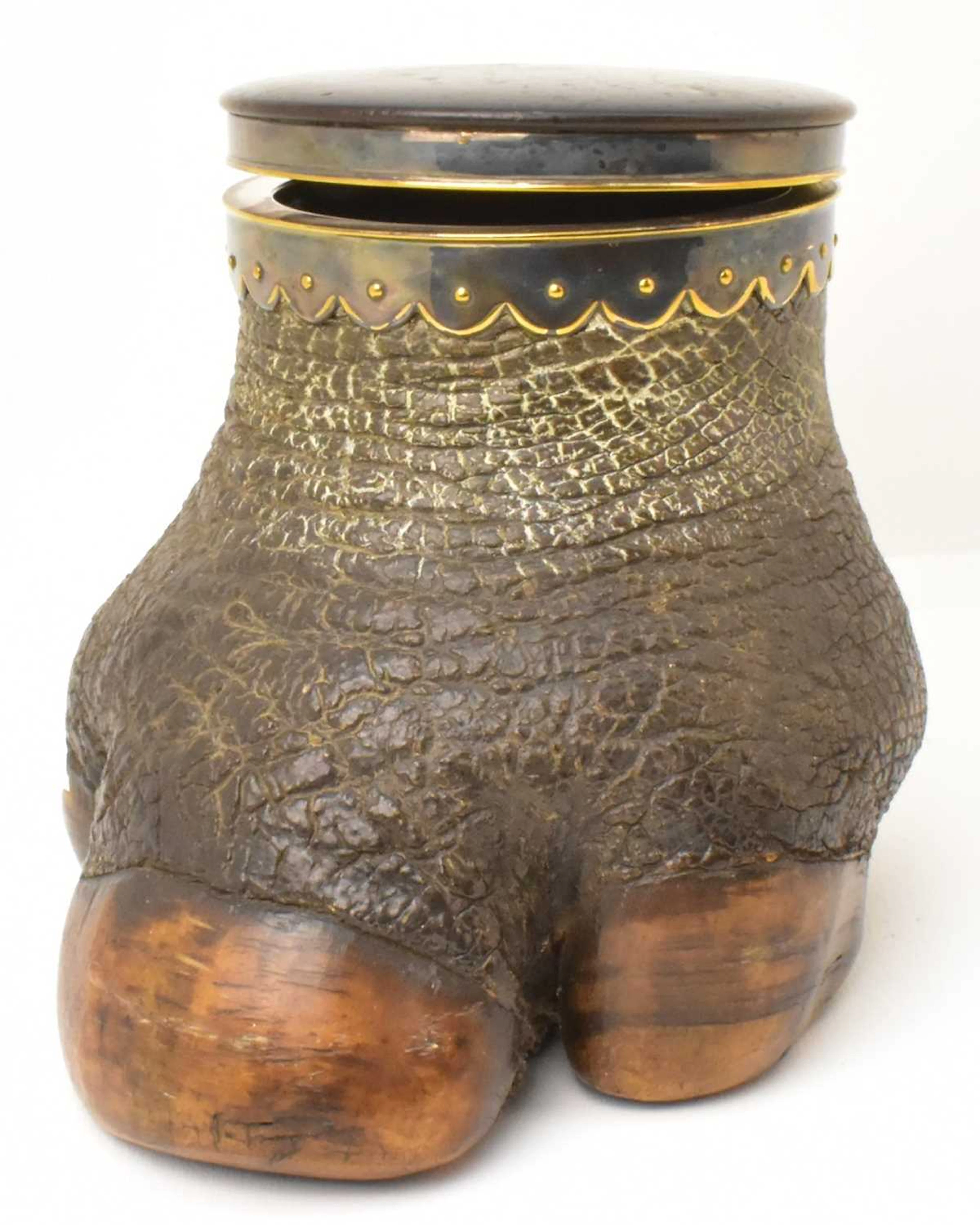 TAXIDERMY; a 19th century elephant foot lidded box