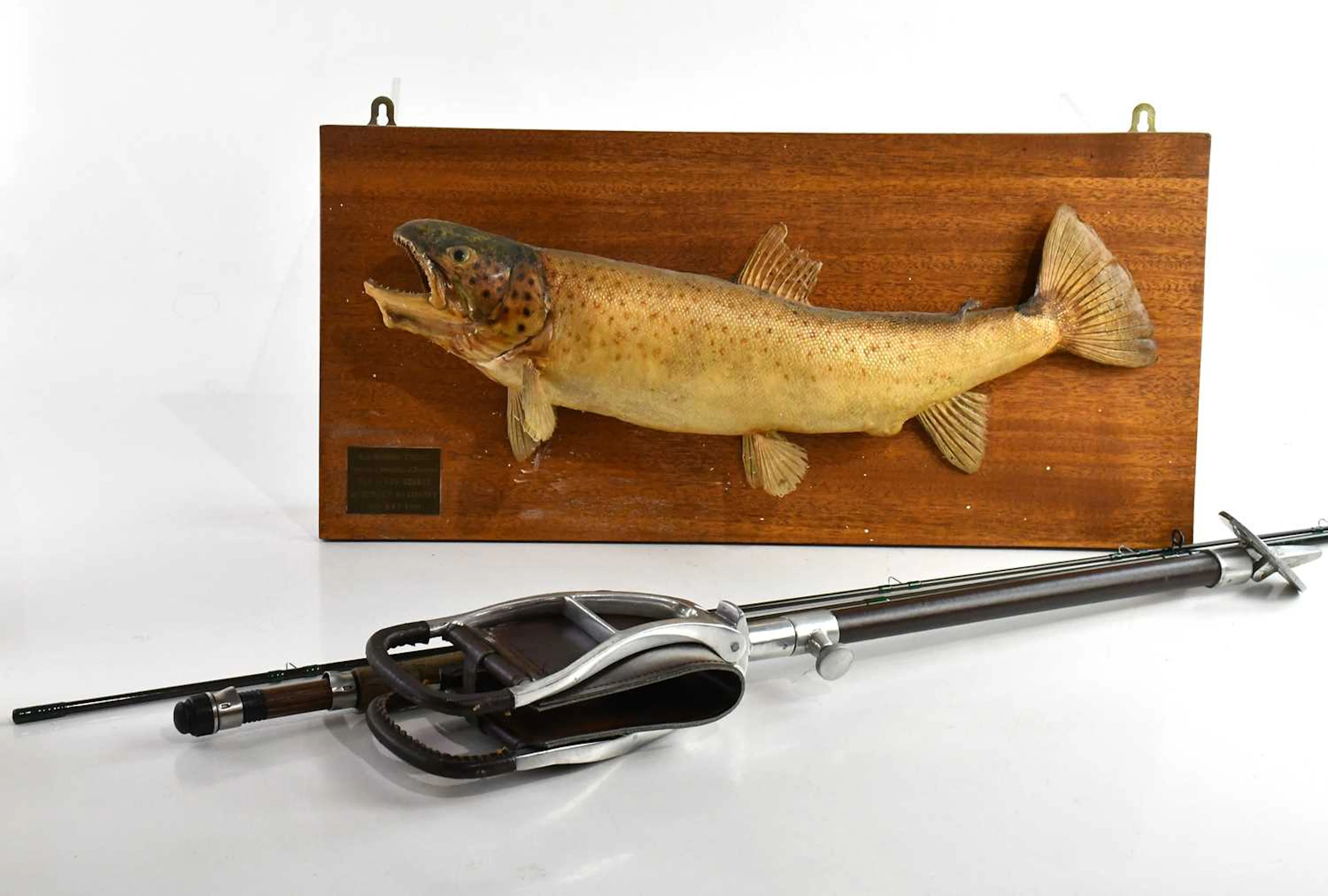 TAXIDERMY; a mounted '4lb Brown Trout taken on a...