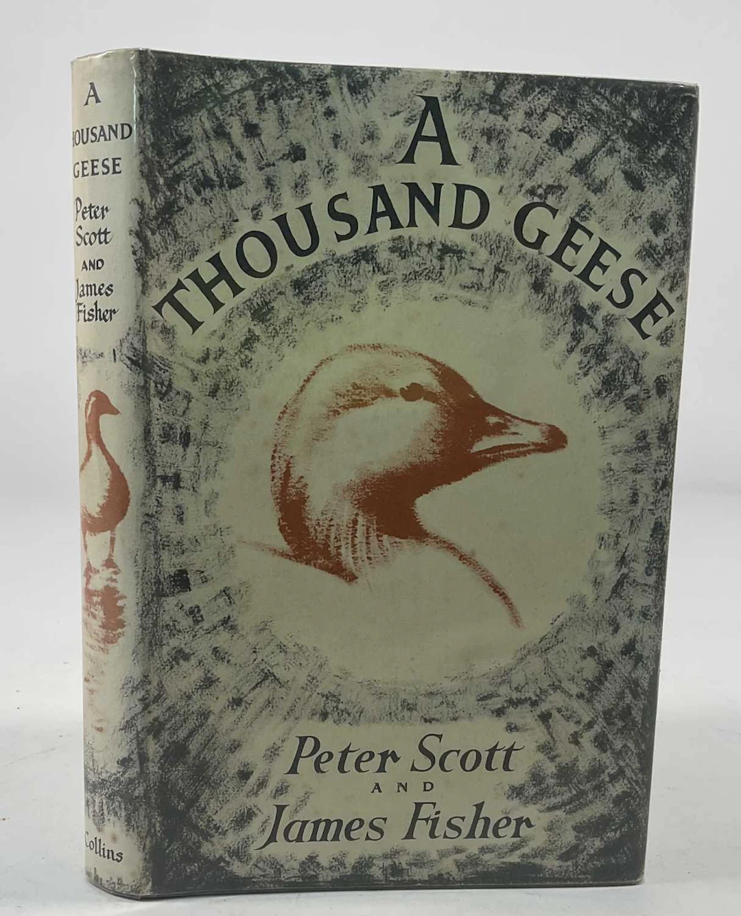 PETER SCOTT & JAMES FISHER; A Thousand Geese