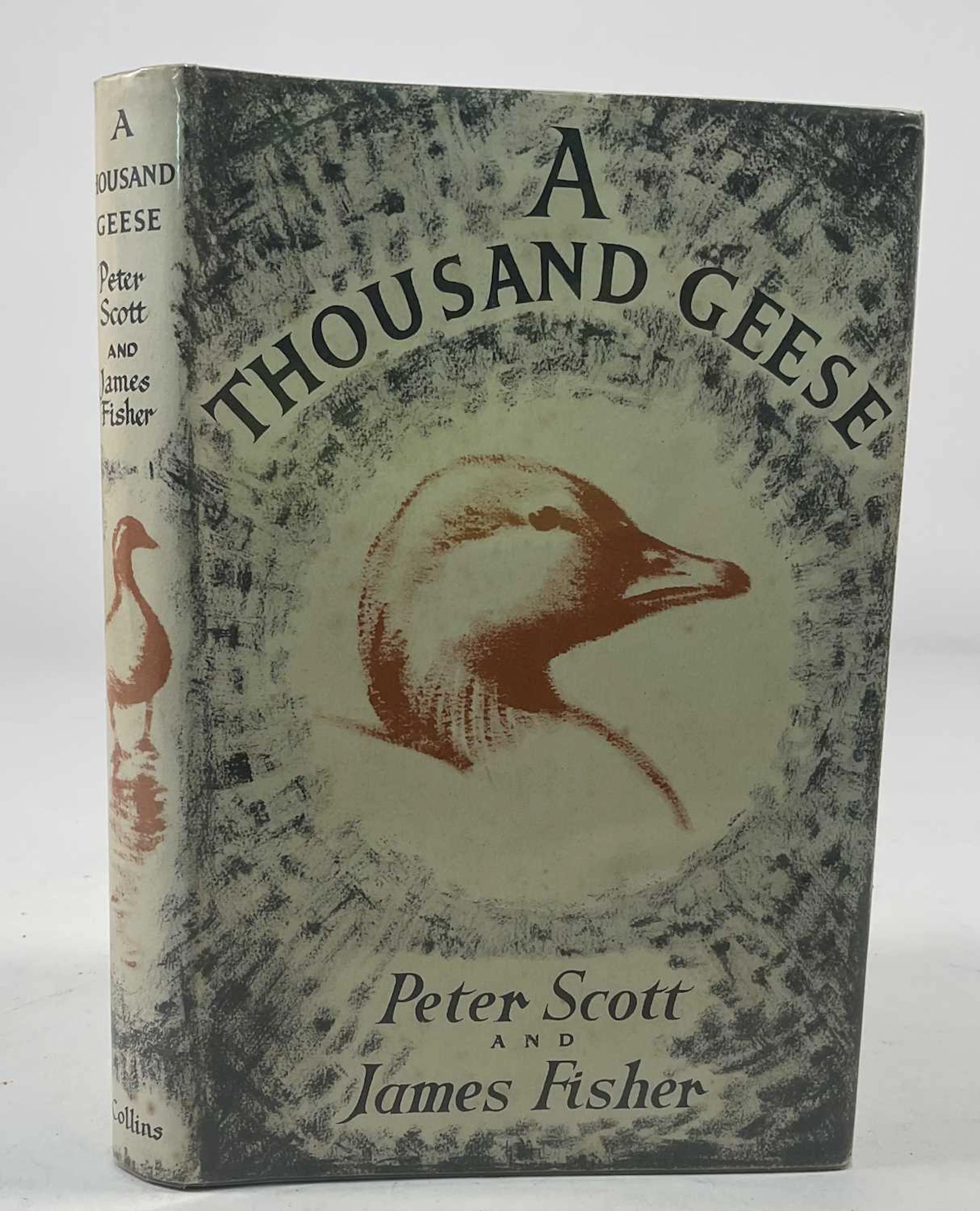 PETER SCOTT & JAMES FISHER; A Thousand Geese