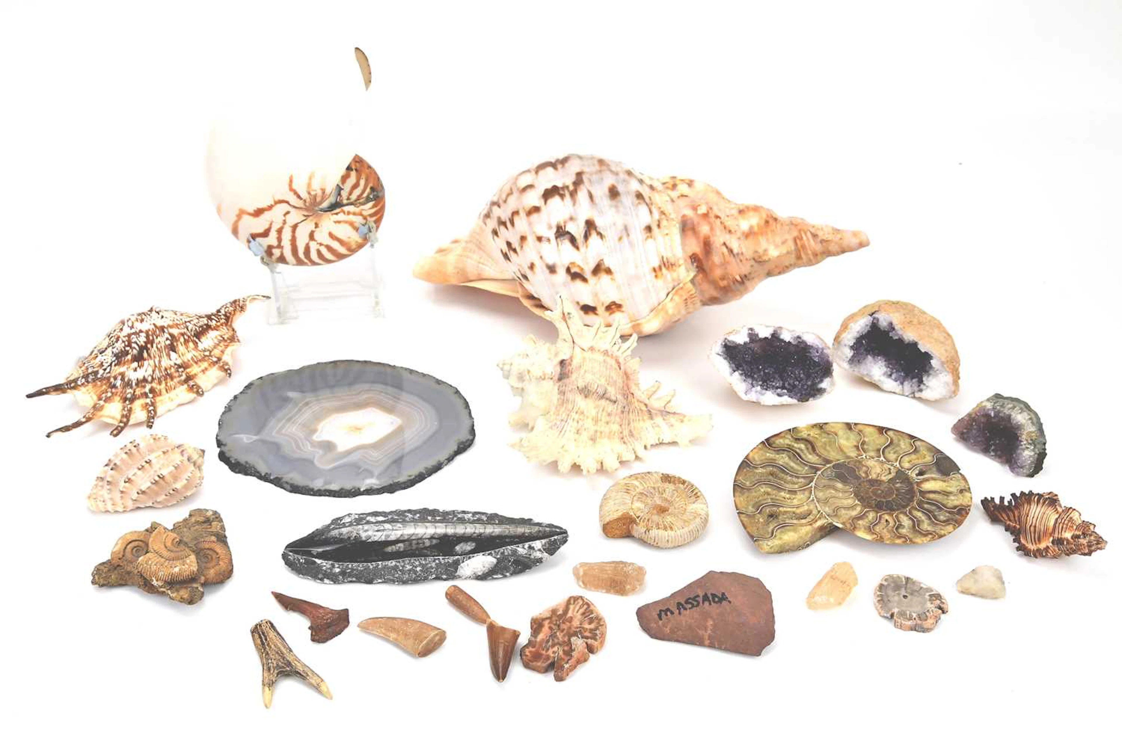A collection of rock specimens