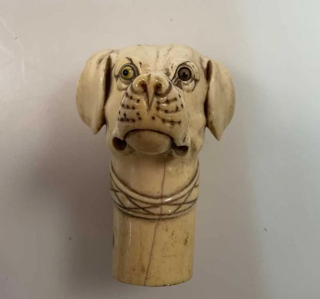 A carved bone dog walking cane handle