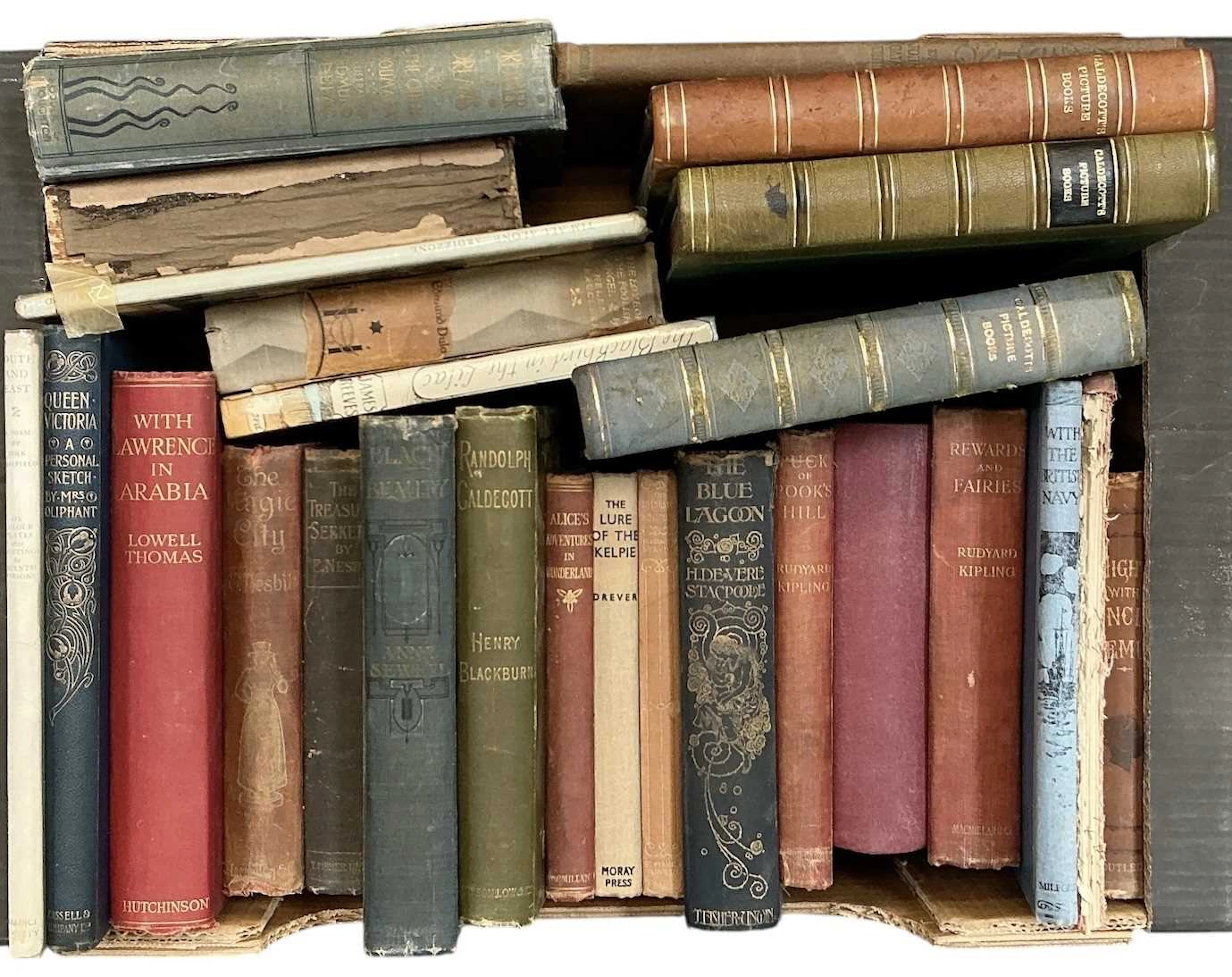 A collection of approximately twenty-five 19th century and later novels