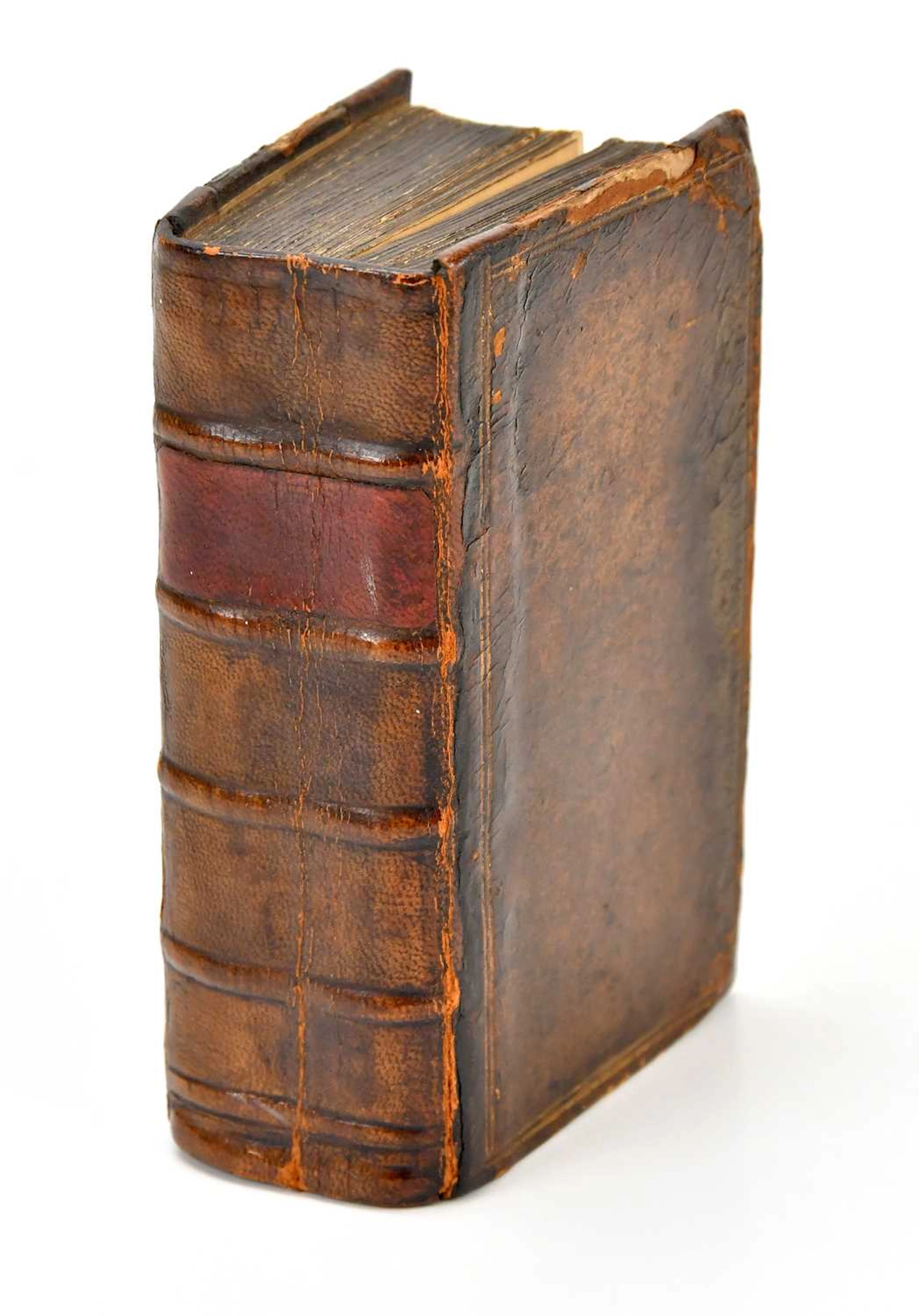 HERMANNIDES (RUTGERUS)