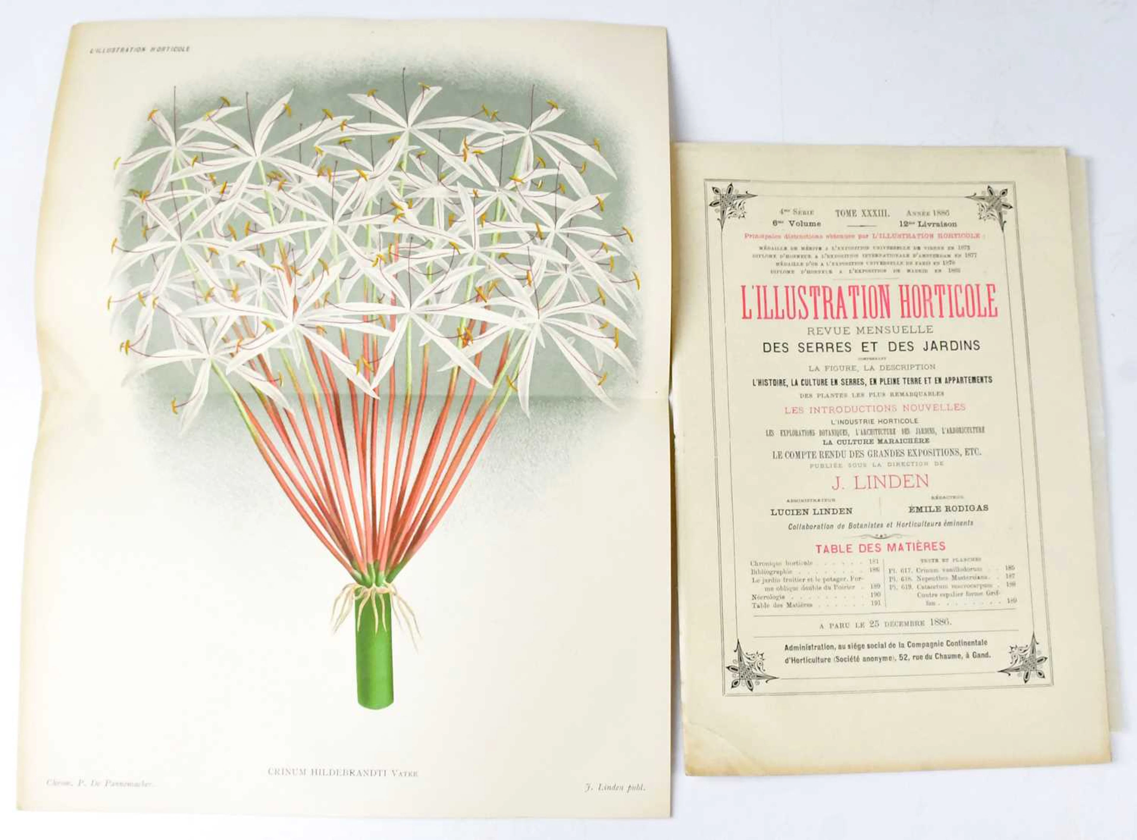 L'ILLUSTRATION HORTICOLE; Monthly Revue for Greenhouses and Gardens