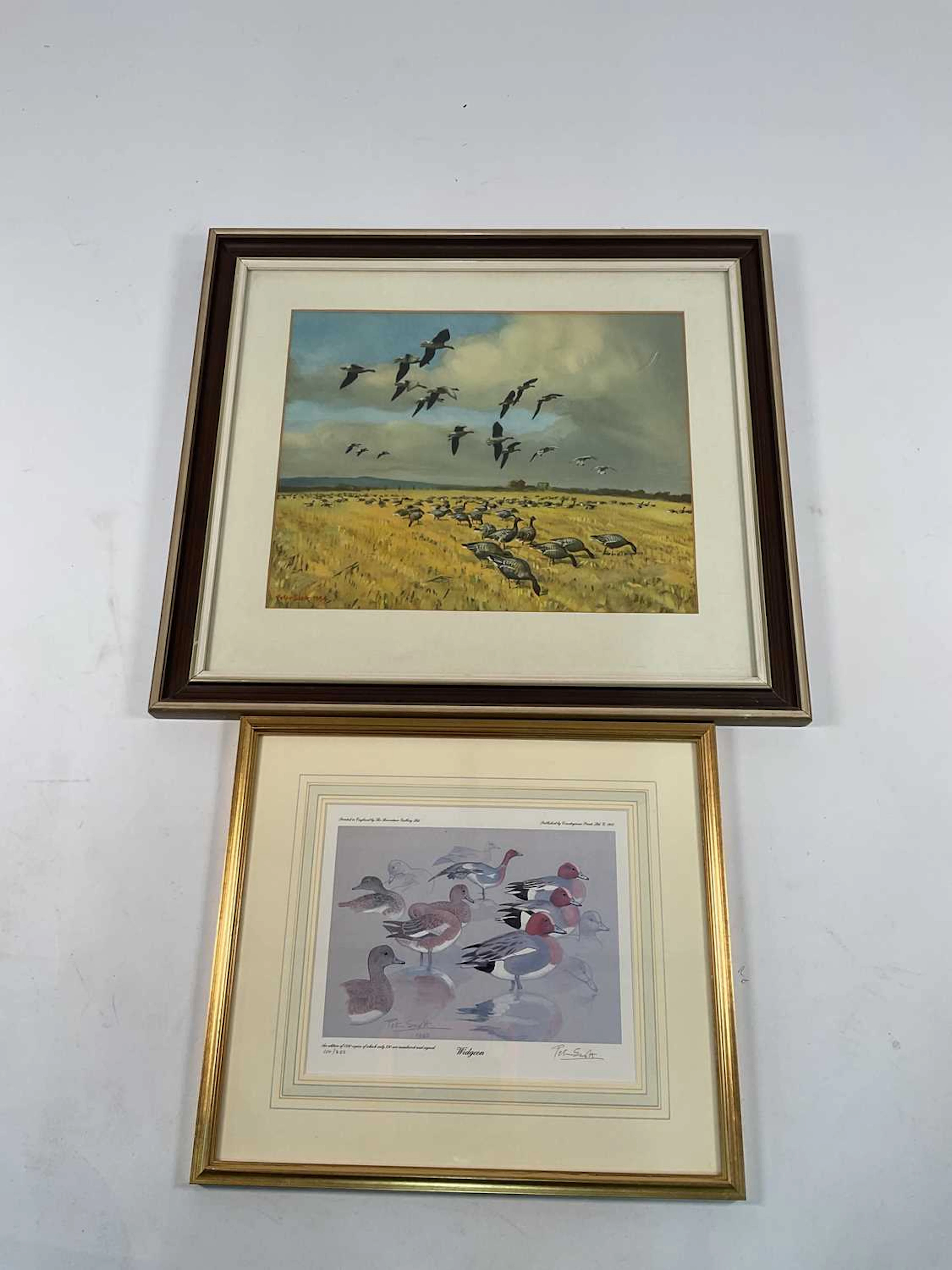 PETER SCOTT; a signed limited edition print titled