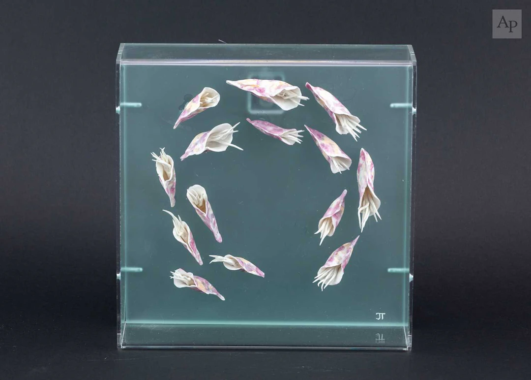 JOY TRPKOVIC (born 1950); 'Pink Marine Dance'