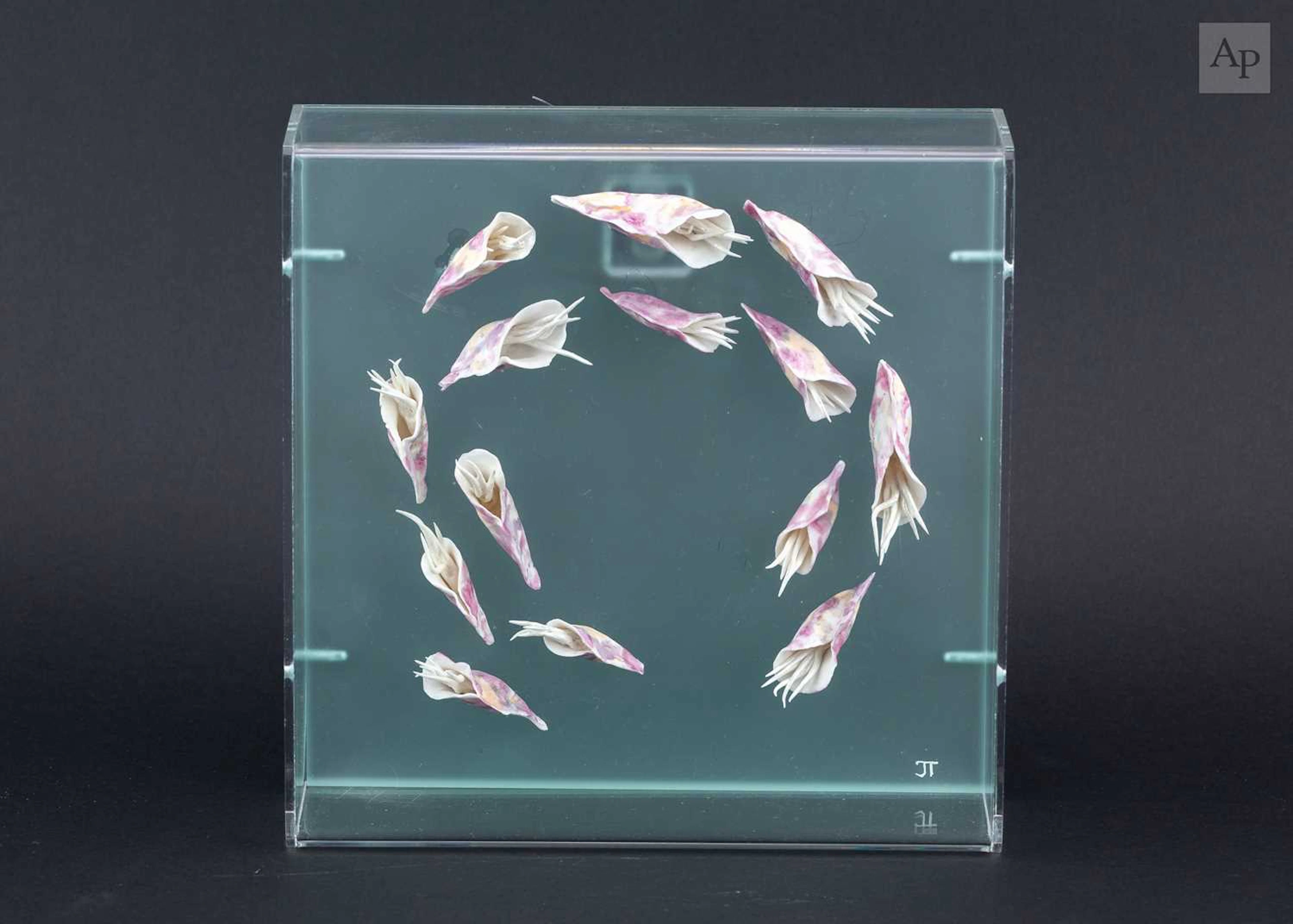 JOY TRPKOVIC (born 1950); 'Pink Marine Dance'