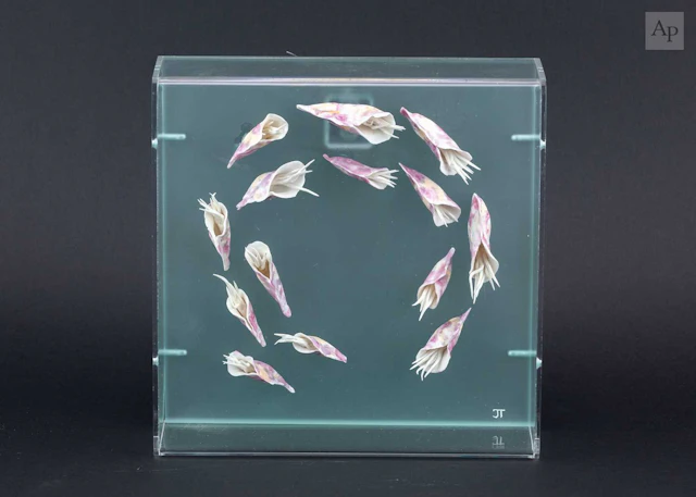 JOY TRPKOVIC (born 1950); 'Pink Marine Dance'