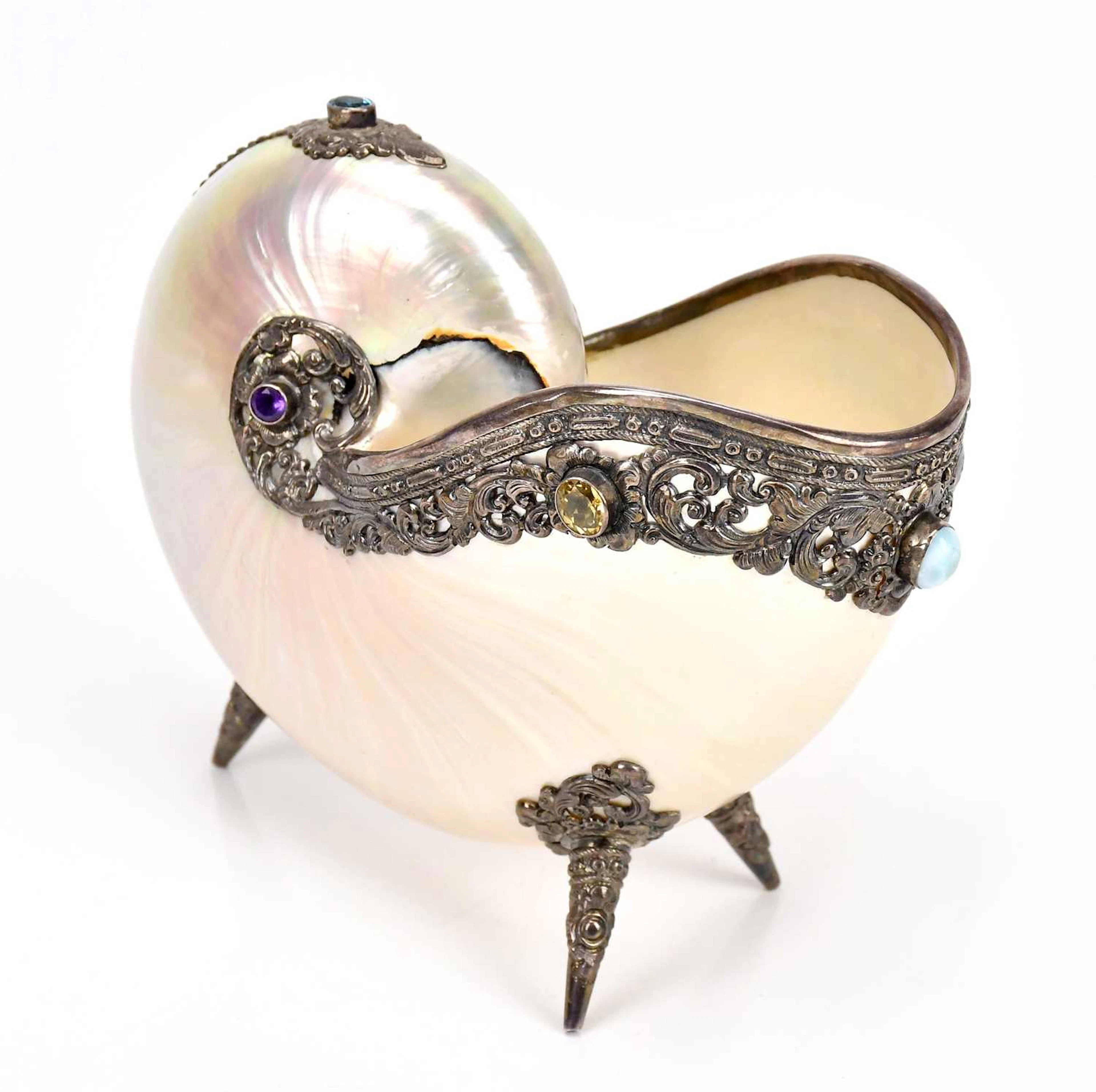 A decorative nautilus pompilius shell cup