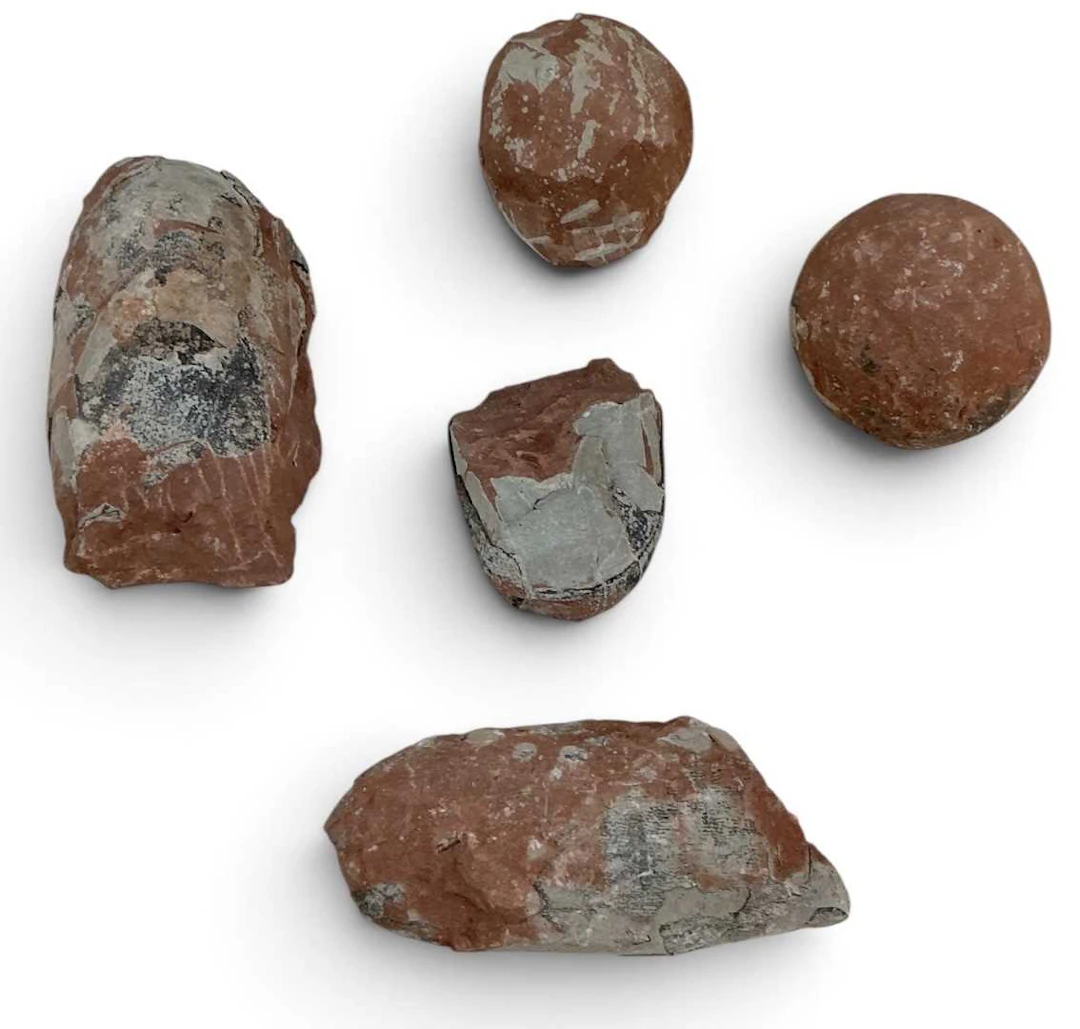 Five assorted dinosaur eggs