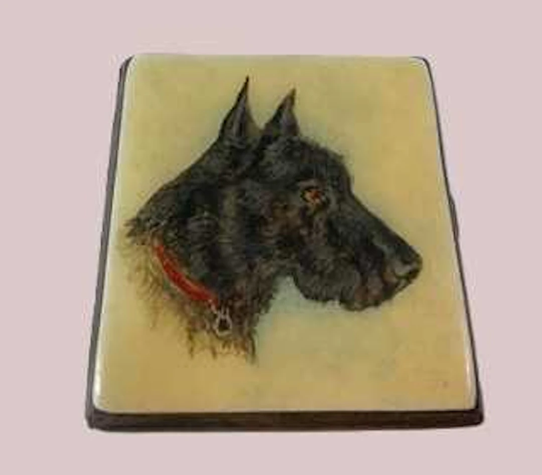 A George V silver hallmarked and enamel cigarette case