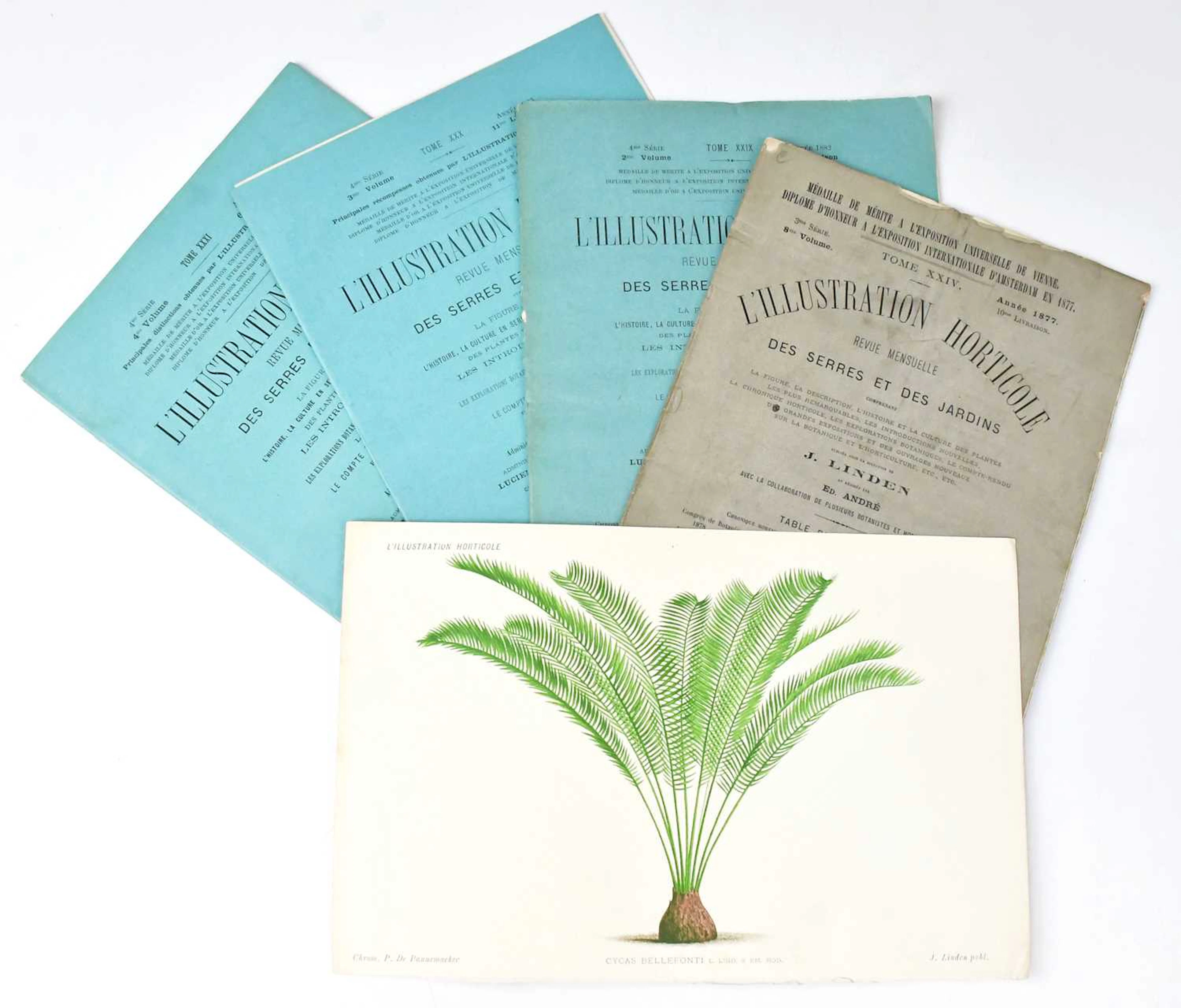 L'ILLUSTRATION HORTICOLE; Monthly Revue for Greenhouses and Gardens