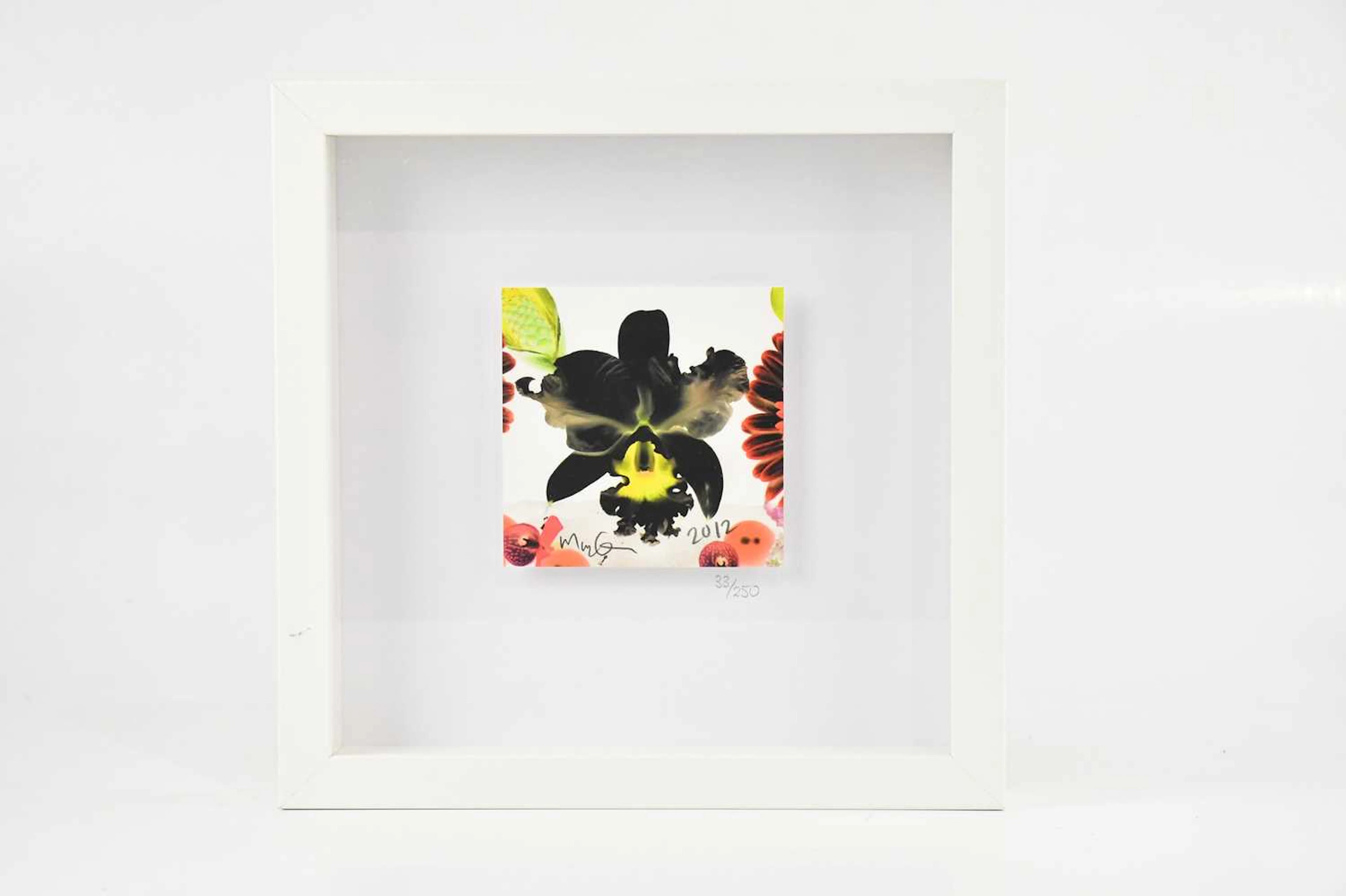MARC QUINN; a signed limited edition print