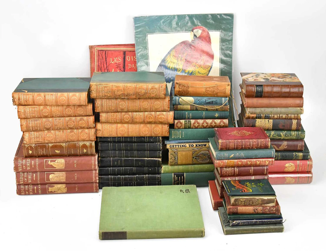 A collection of books on ornithology