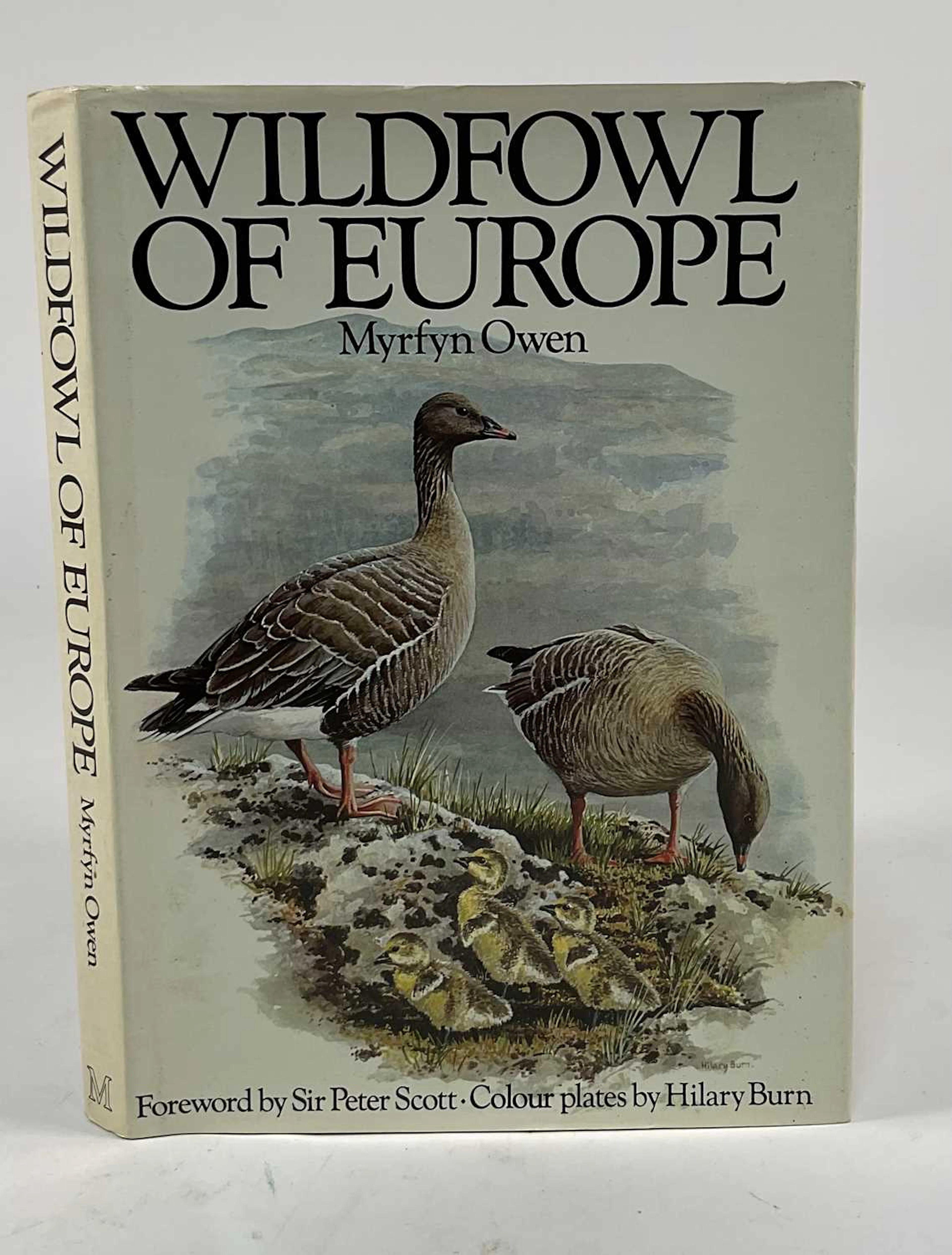 MYRFYN OWEN; Wildfowl of Europe