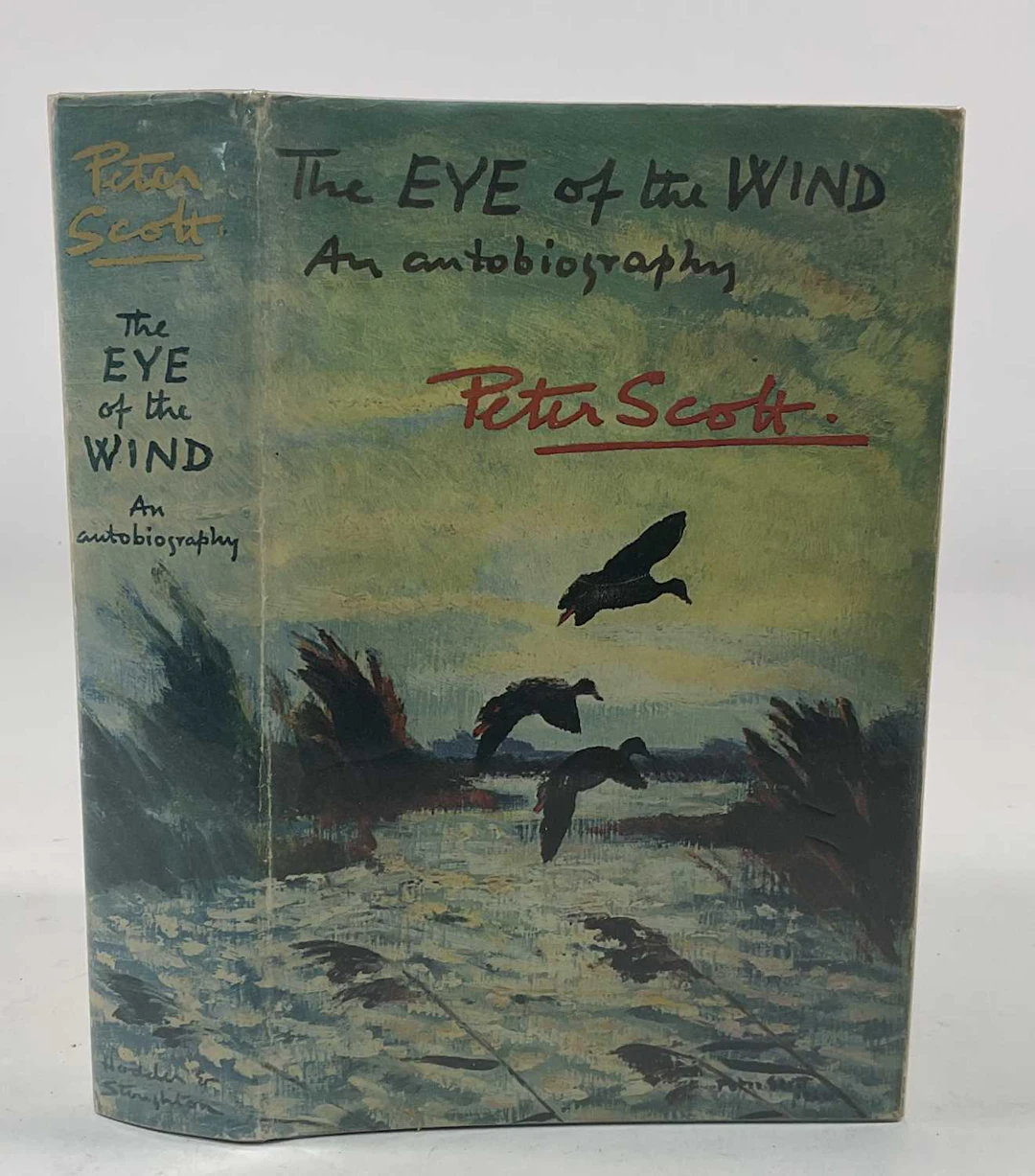 PETER SCOTT; The Eye of the Wind