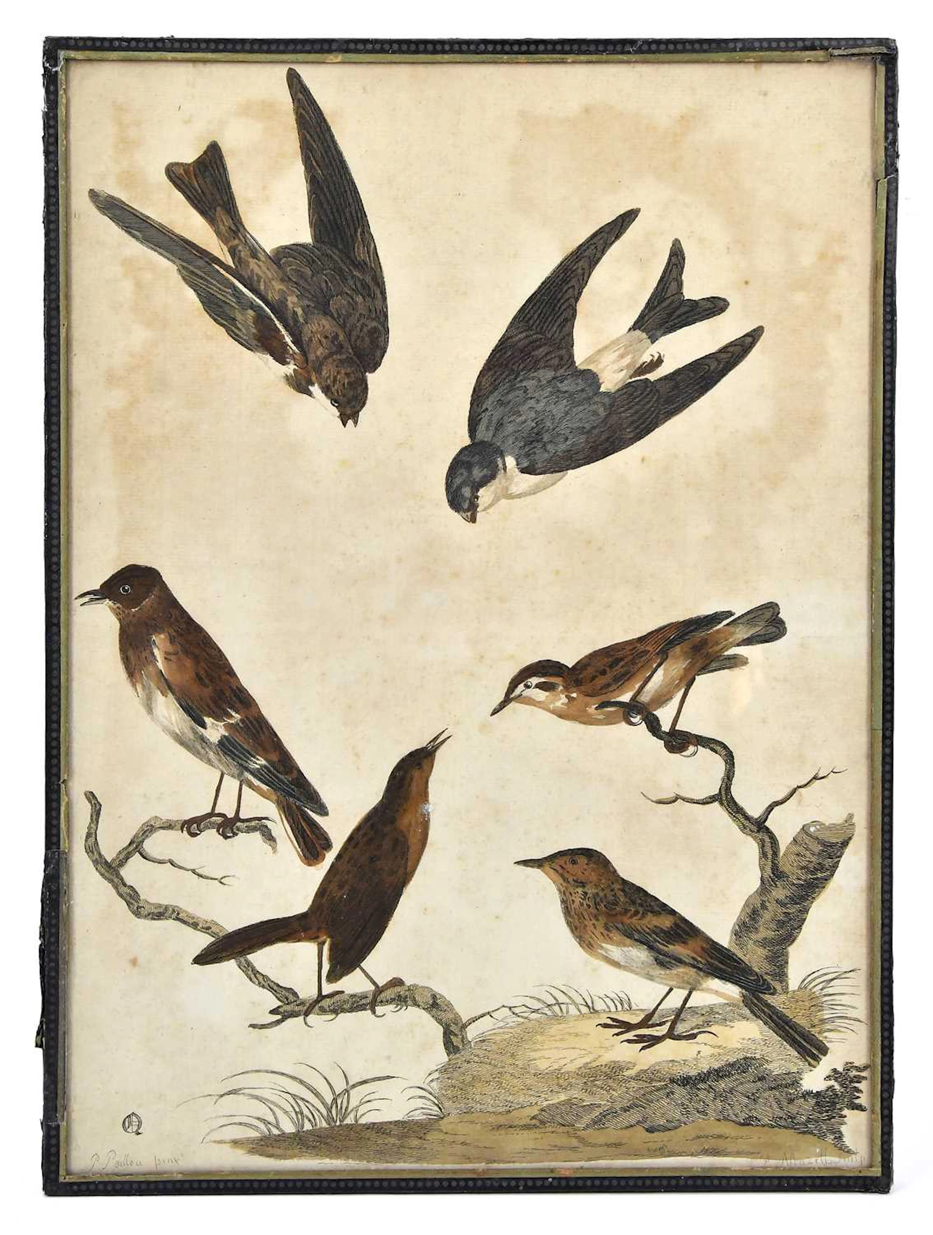 AFTER PETER PAILLOU (1720-1790); 18th century hand coloured engraving