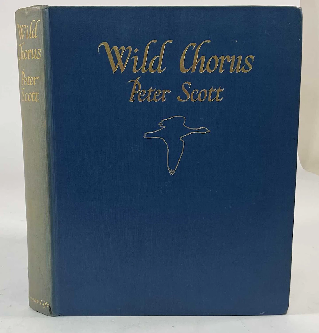 PETER SCOTT; Wild Chorus