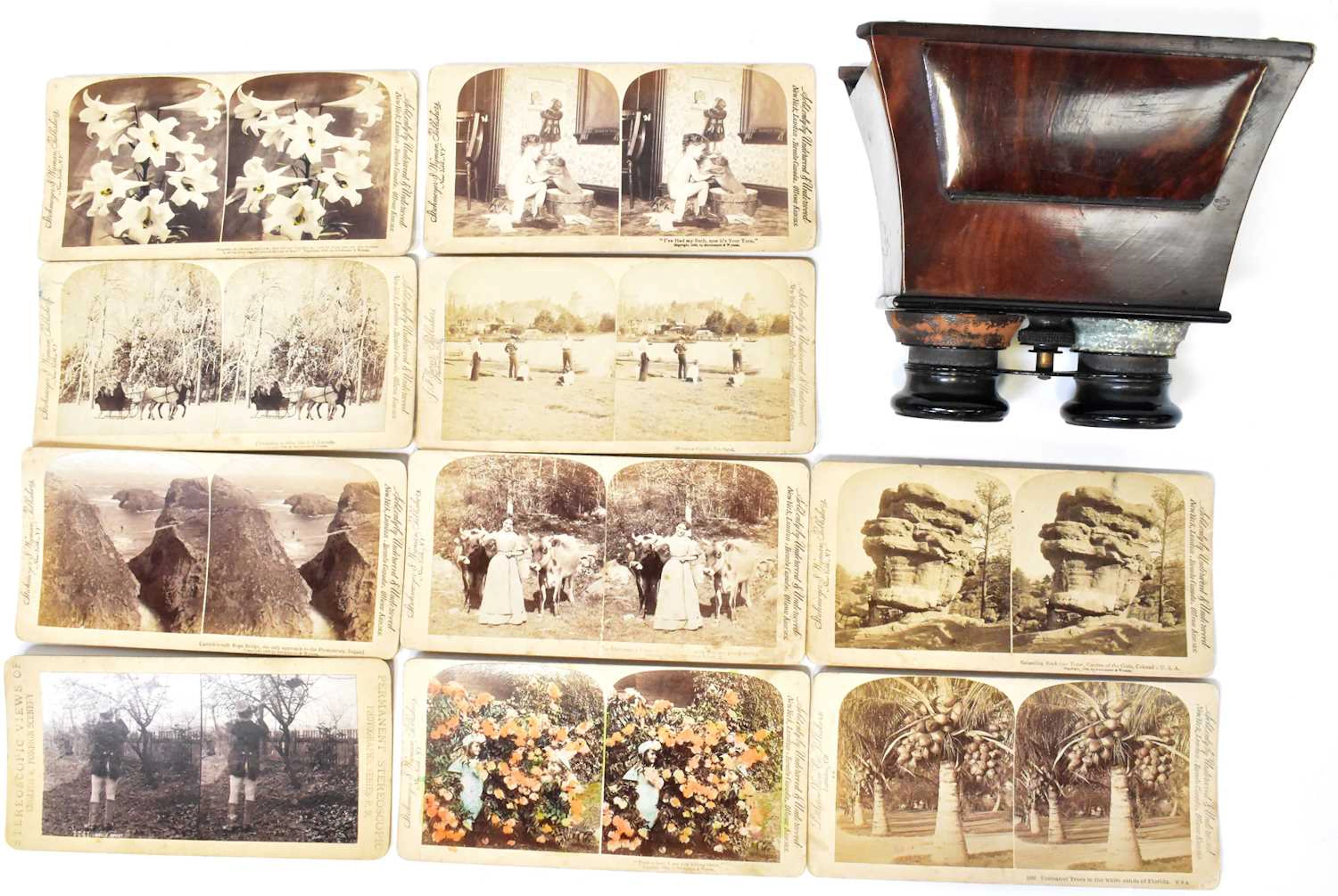 A Victorian bur walnut stereoscopic viewer