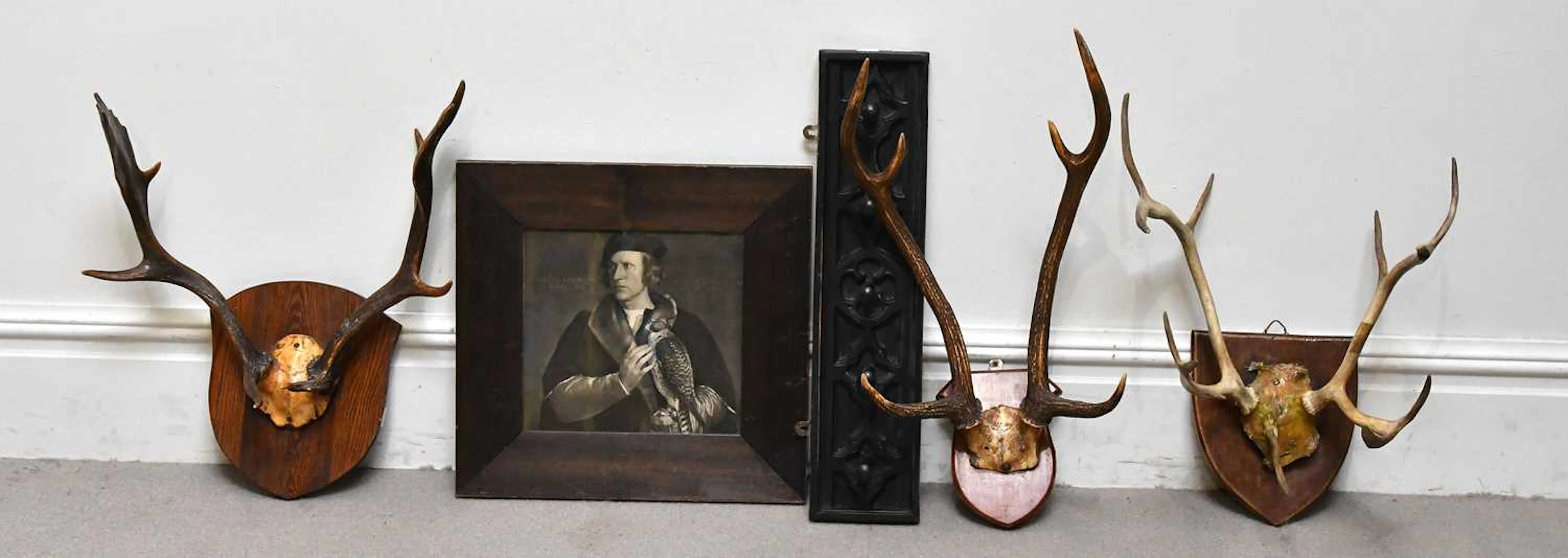 TAXIDERMY; a pair of antlers on oak shield shaped back plate
