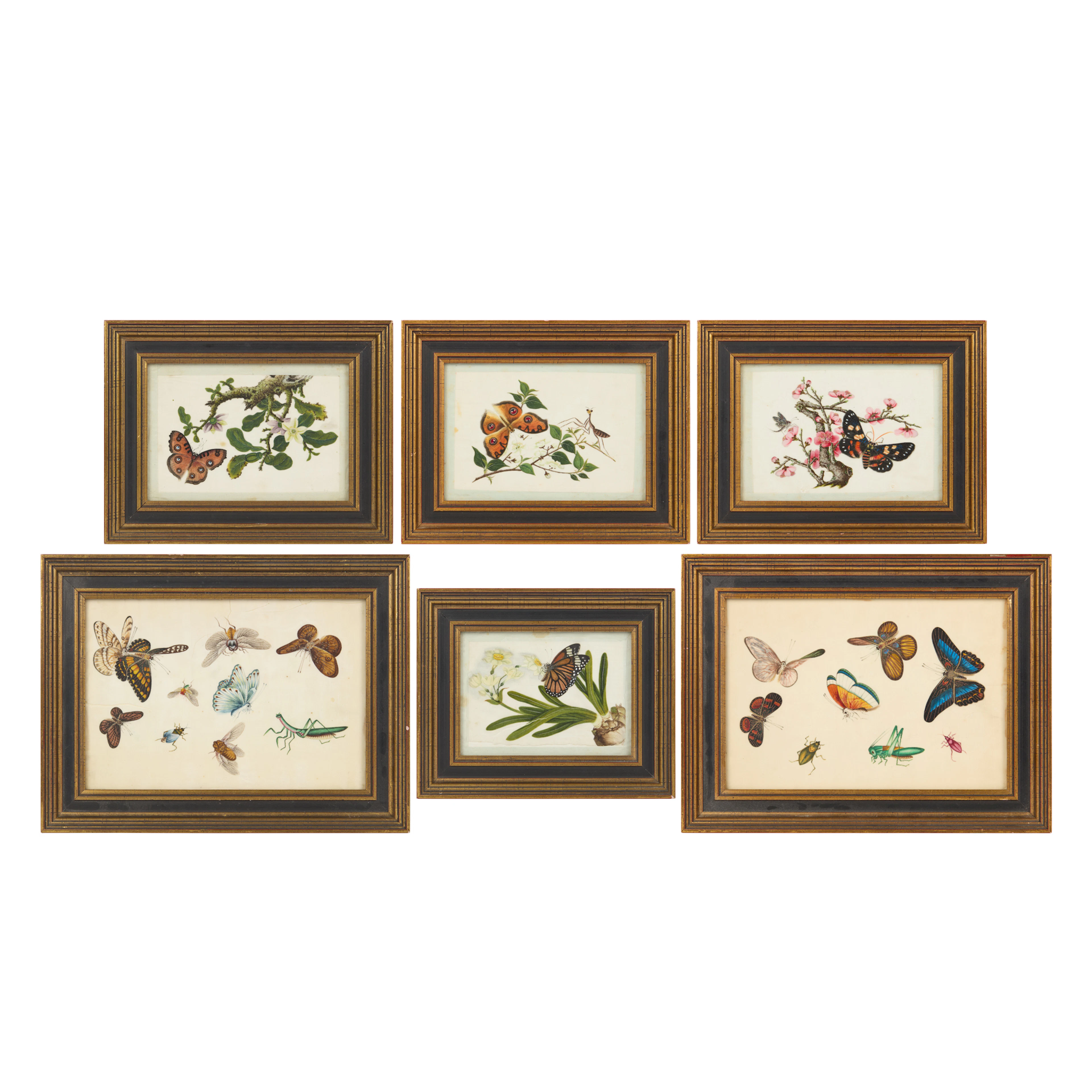 GROUP OF SIX CHINESE 'BUTTERFLY' PITH PAINTINGS