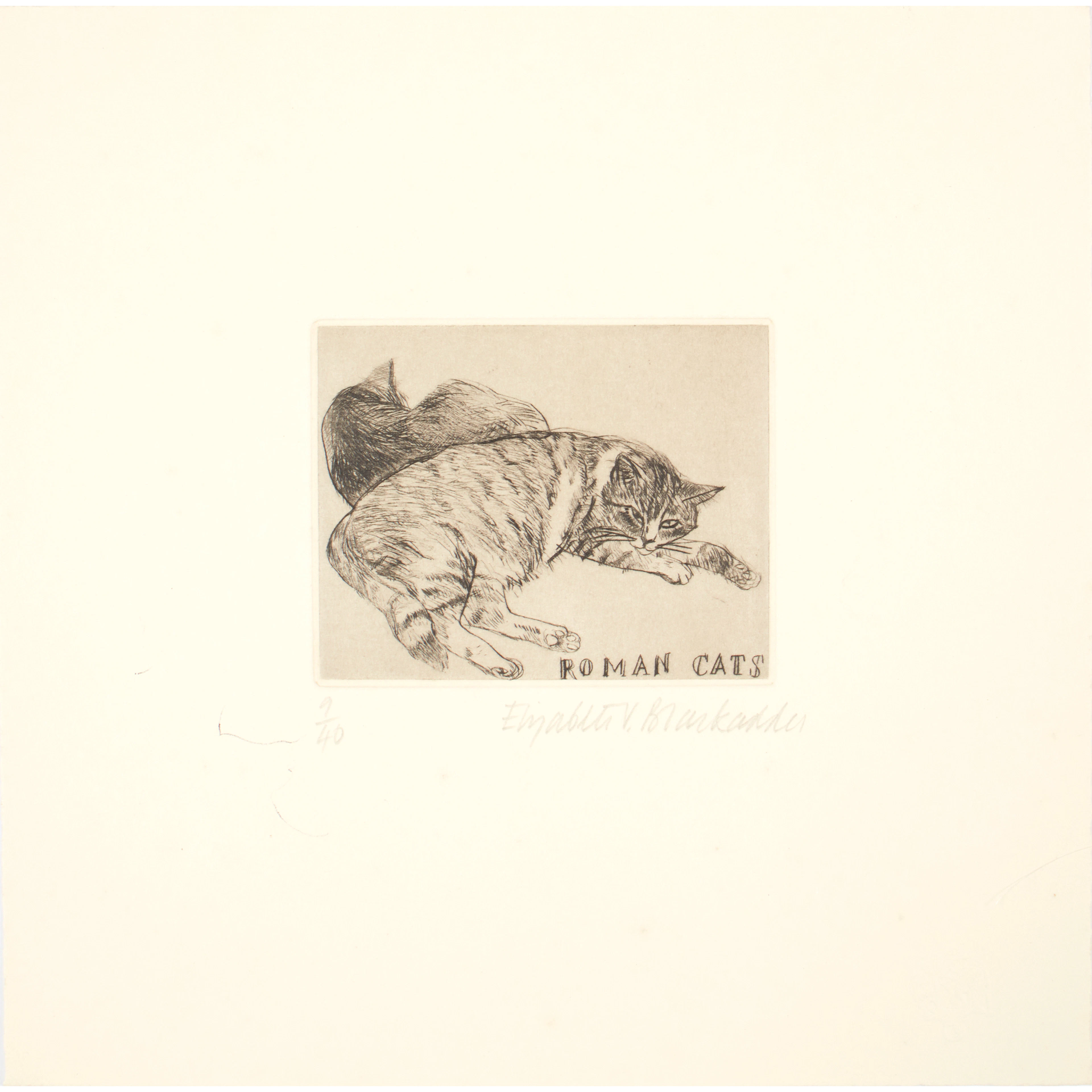 DAME ELIZABETH BLACKADDER O.B.E., R.A., R.S.A., R.S.W., R.G.I., D.Litt