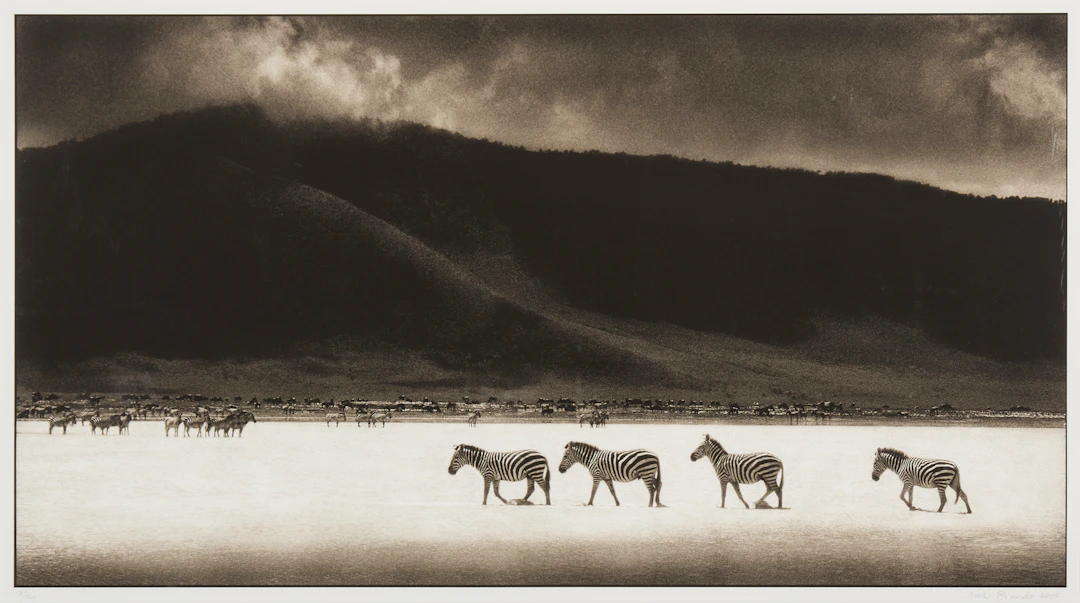 NICK BRANDT (BRITISH 1964-)