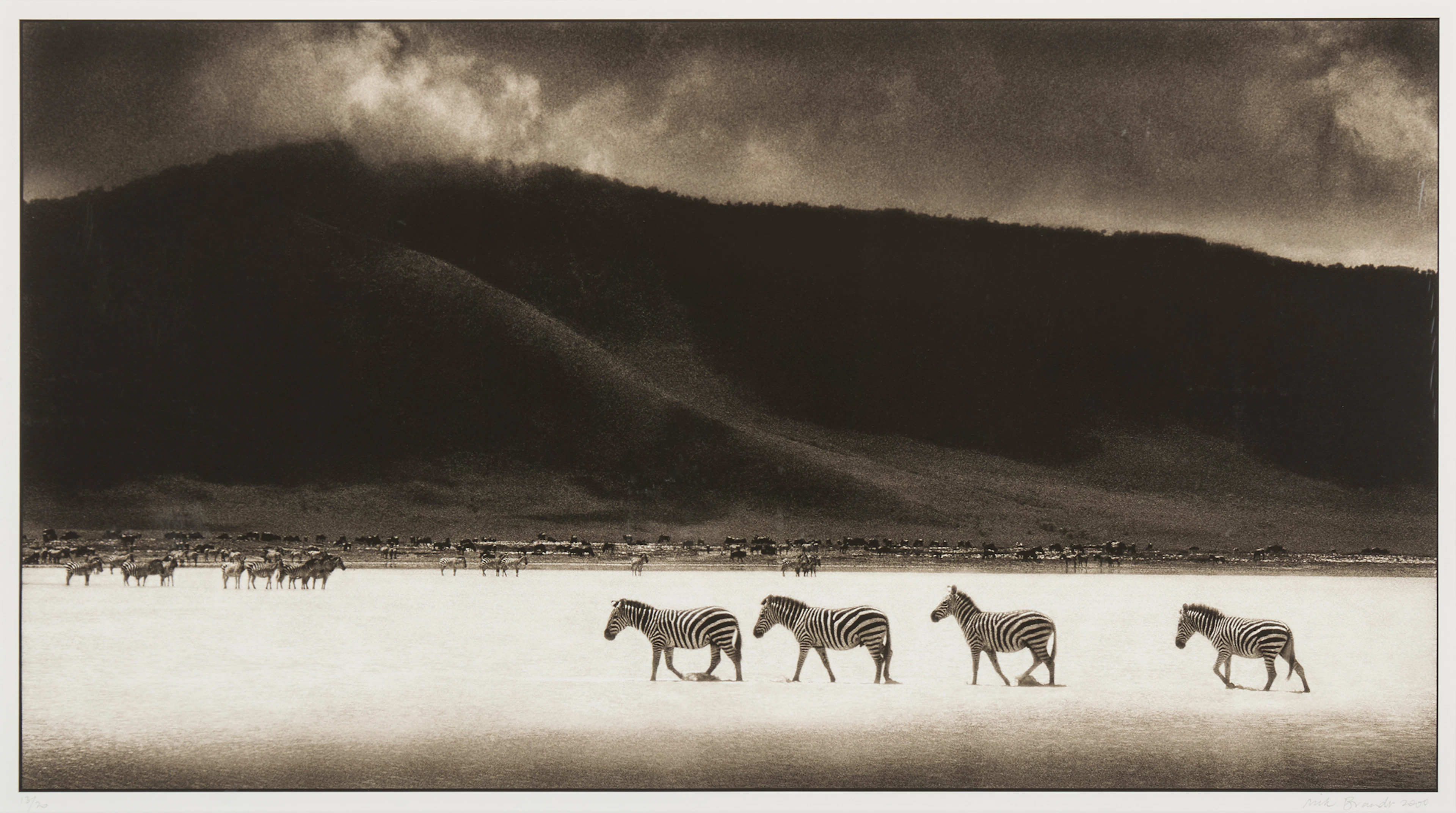 NICK BRANDT (BRITISH 1964-)
