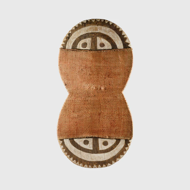 MOTU SHIELD