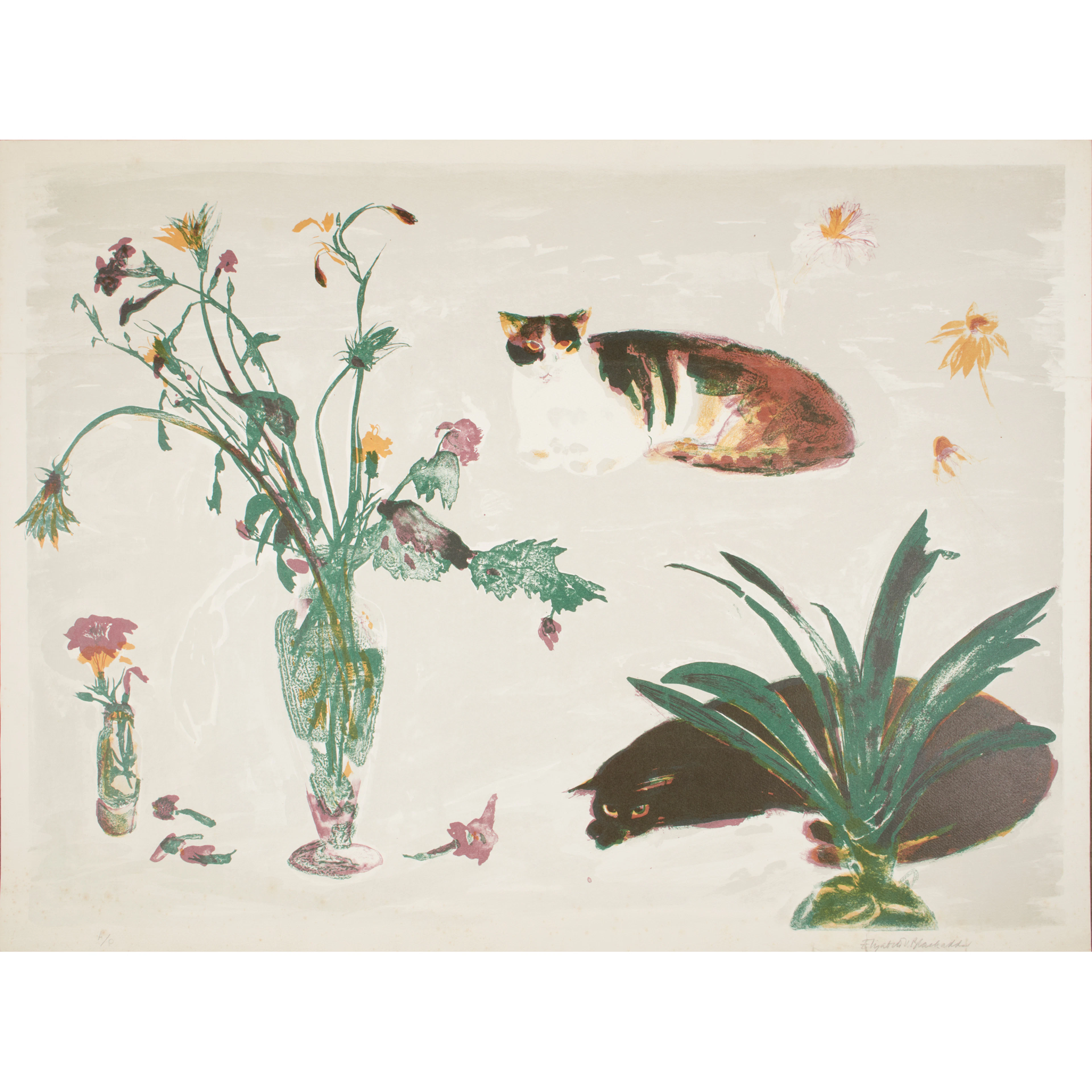 DAME ELIZABETH BLACKADDER O.B.E., R.A., R.S.A., R.S.W., R.G.I., D.Litt
