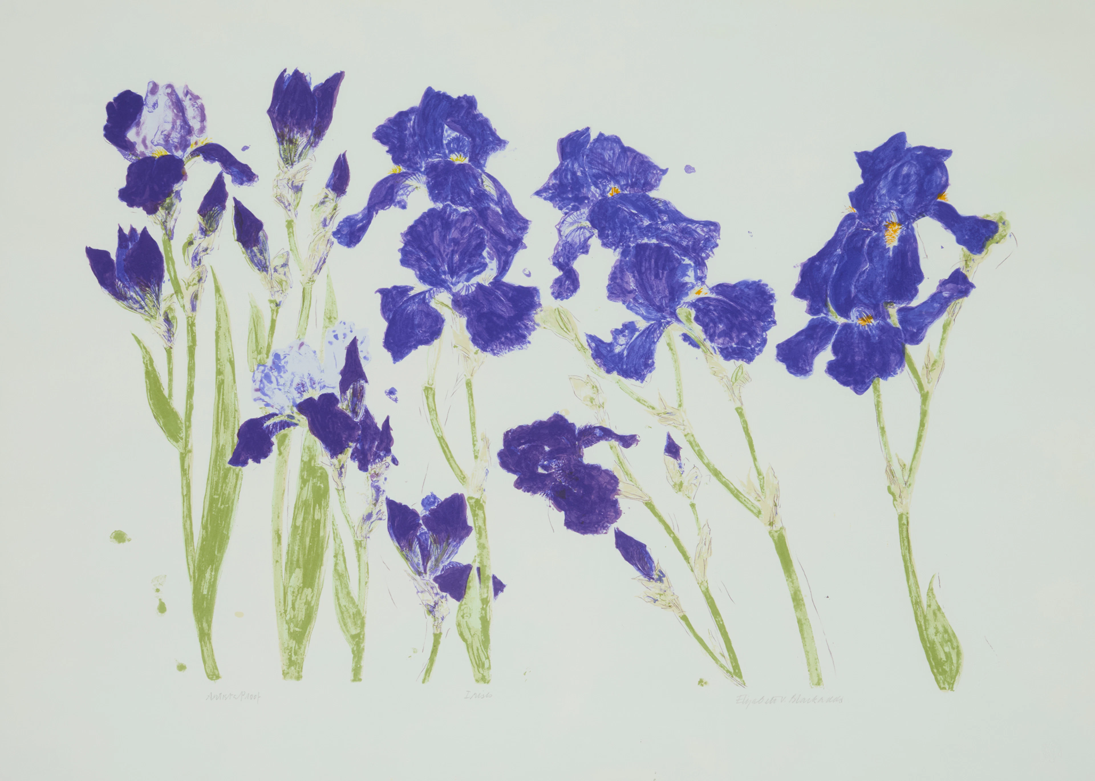 DAME ELIZABETH BLACKADDER O.B.E., R.A., R.S.A., R.S.W., R.G.I., D.Litt