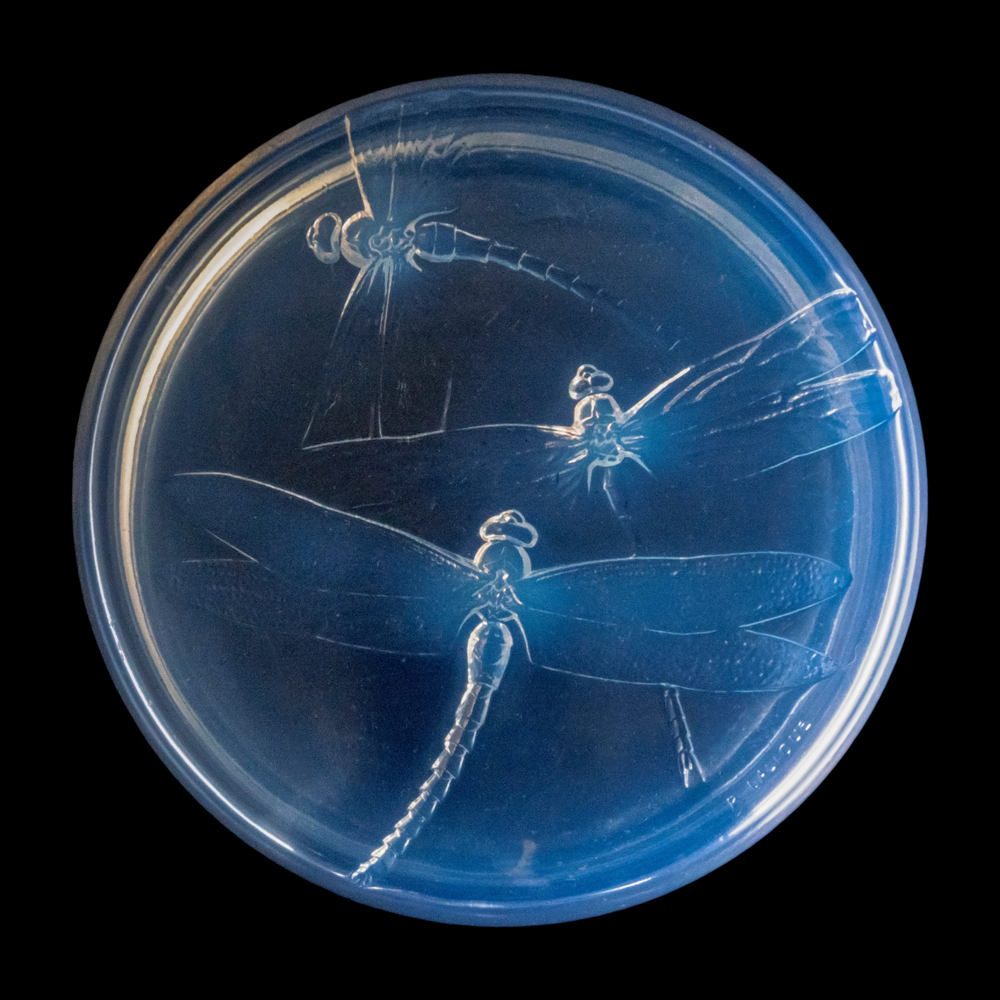 RENÉ LALIQUE (1860-1945)