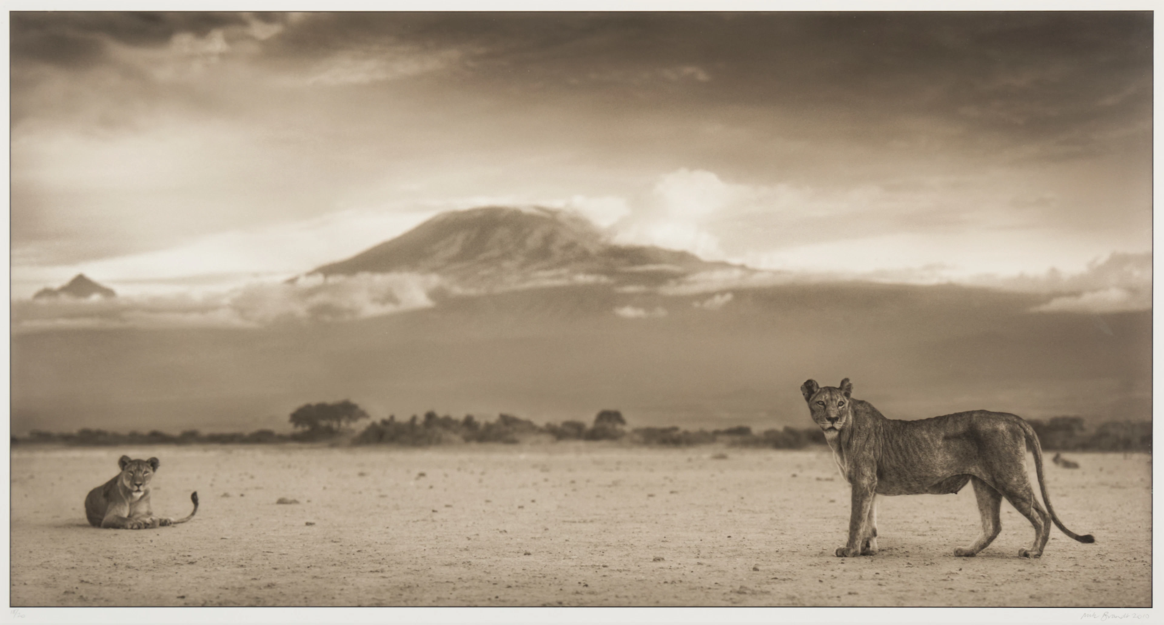 NICK BRANDT (BRITISH 1964-)