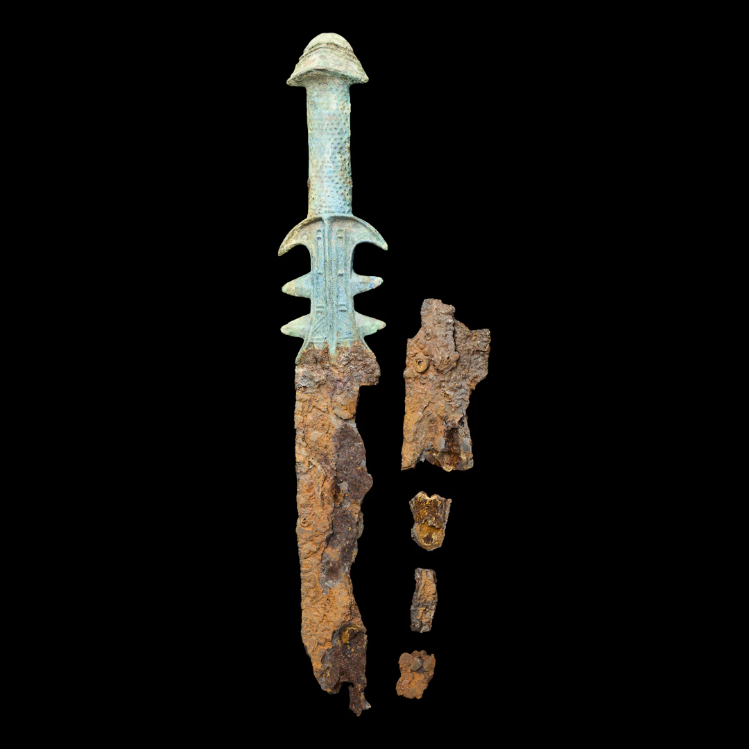 [COLLECTION OF PATRICK DAVID BIRDS] CHINESE BRONZE HILT WITH IRON