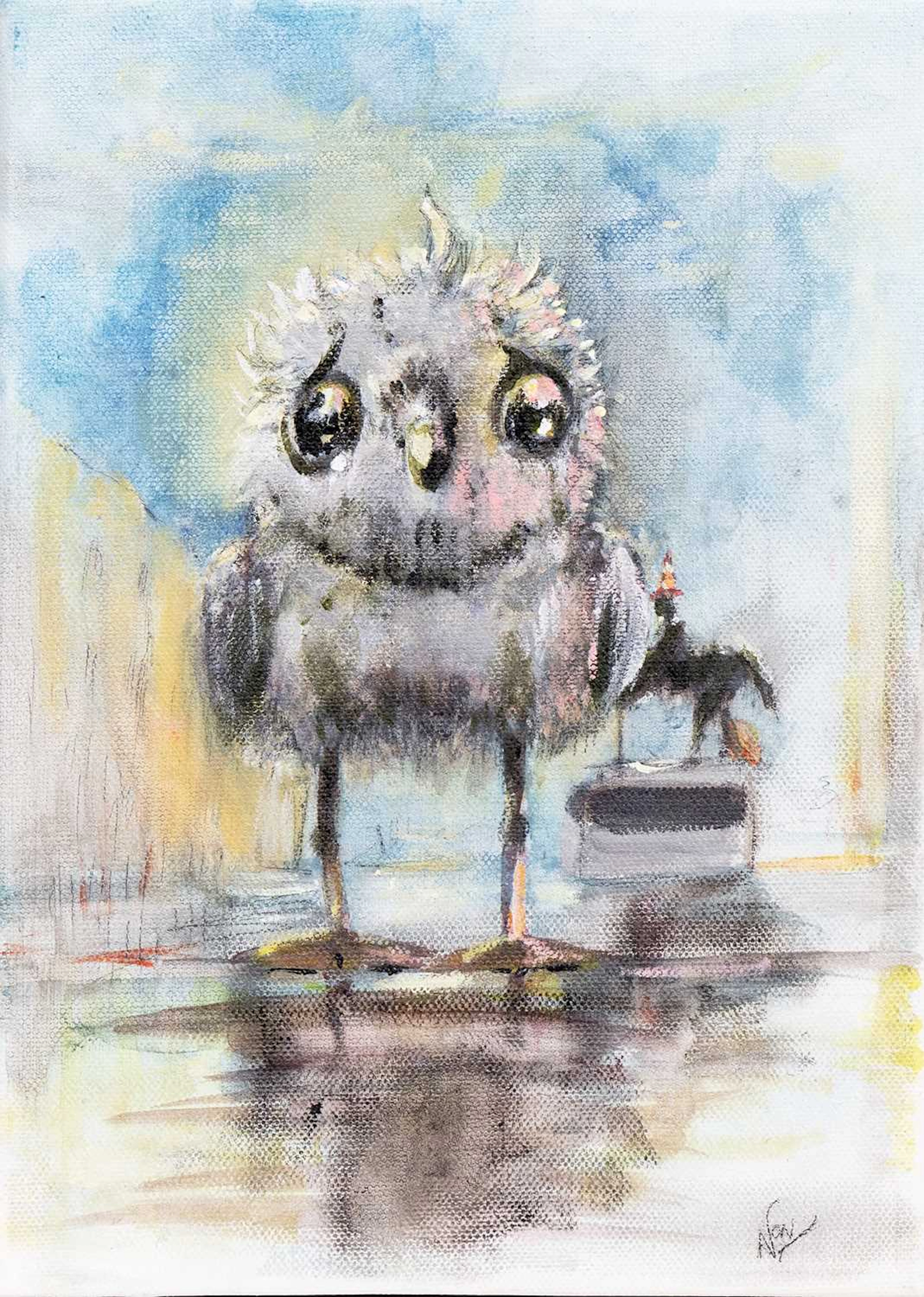 NON XVI FLUFFY