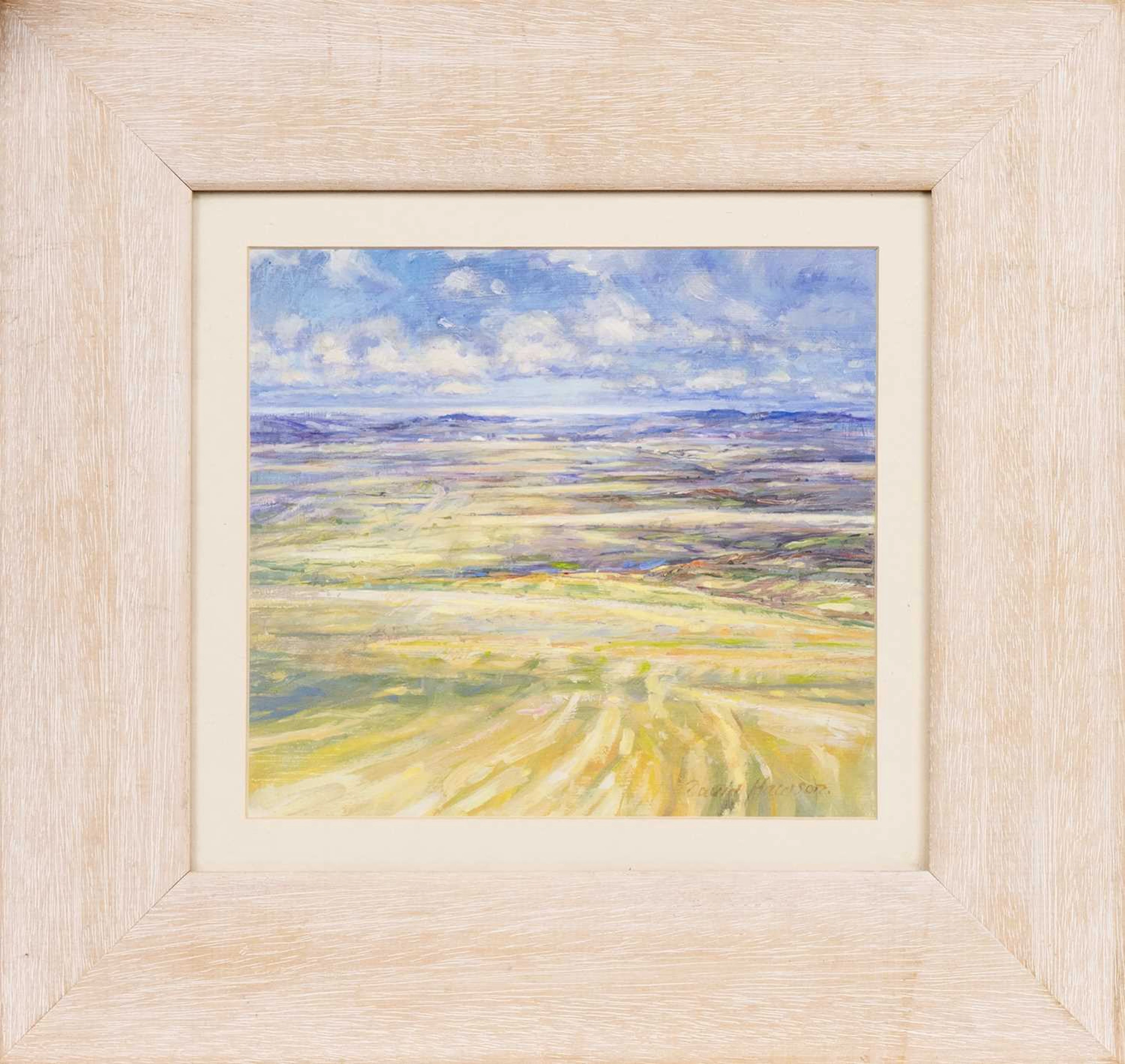 * DAVID HAWSON (BRITISH b. 1949) I CAN SEE THE SEA, FROM THE TOP OF BENNACHIE