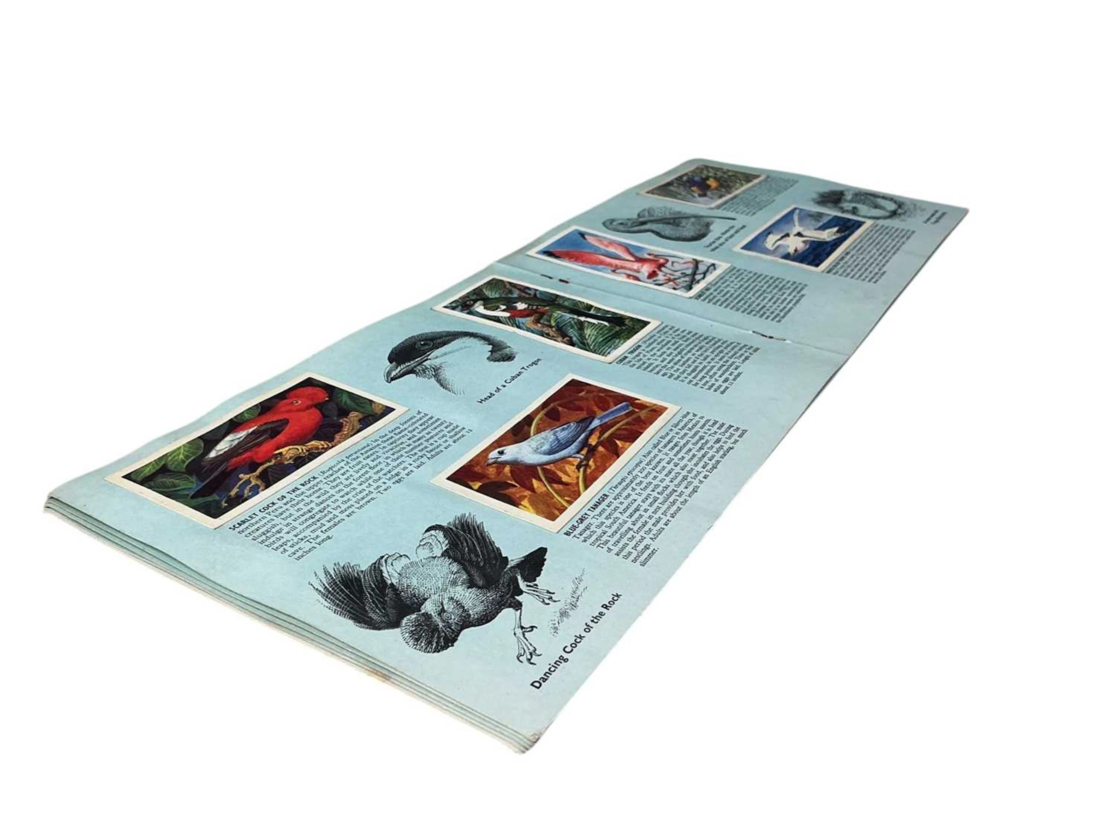 GROUP OF VINTAGE CIGARETTE AND TRADE CARDS MID 20TH CENTURY