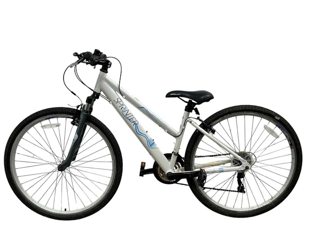 APOLLO SPRINTER MOUNTAIN BIKE EARLY 21ST CENTURY