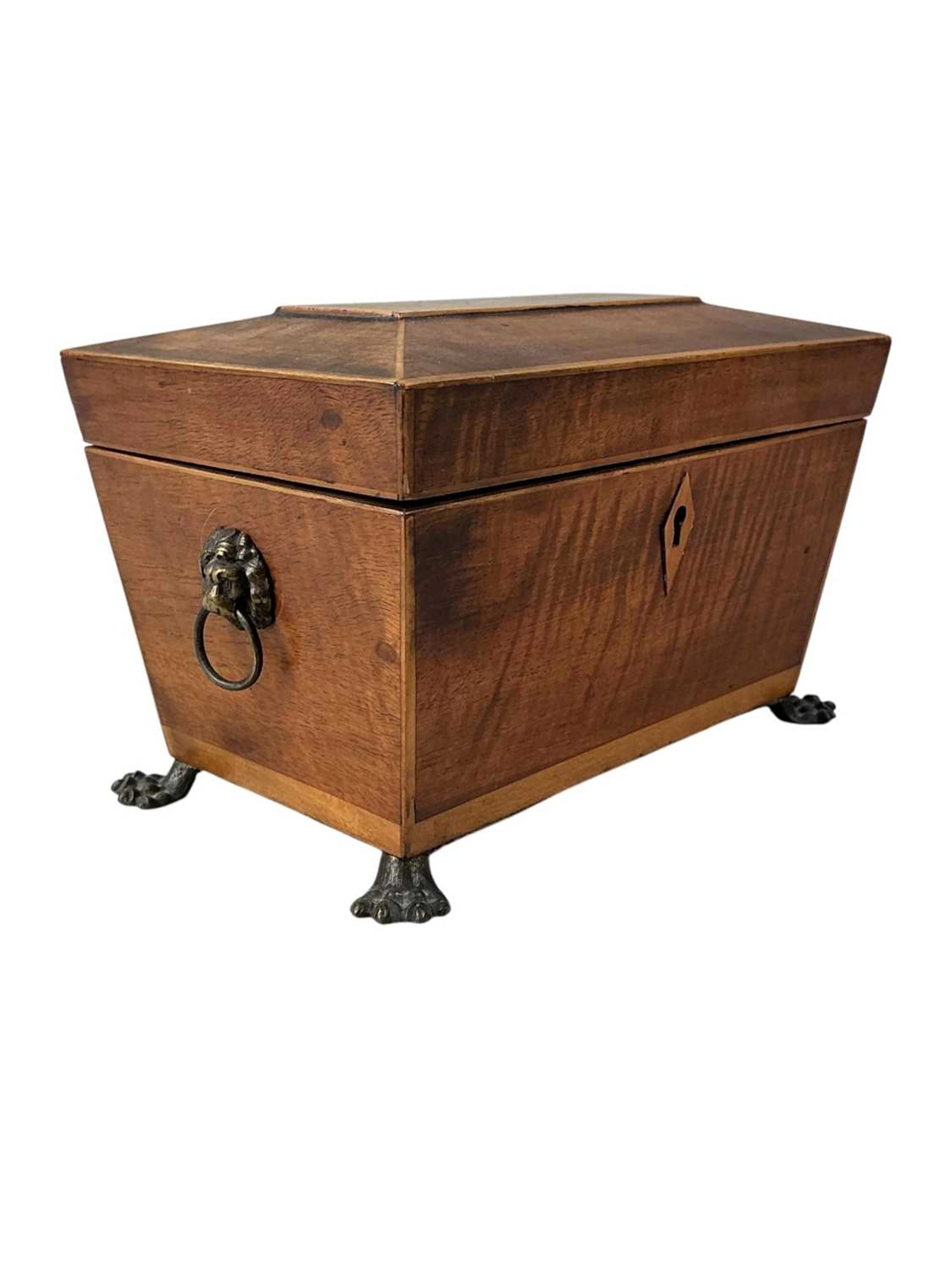 MAHOGANY SARCOPHAGUS TEA CADDY EARLY 19TH CENTURY