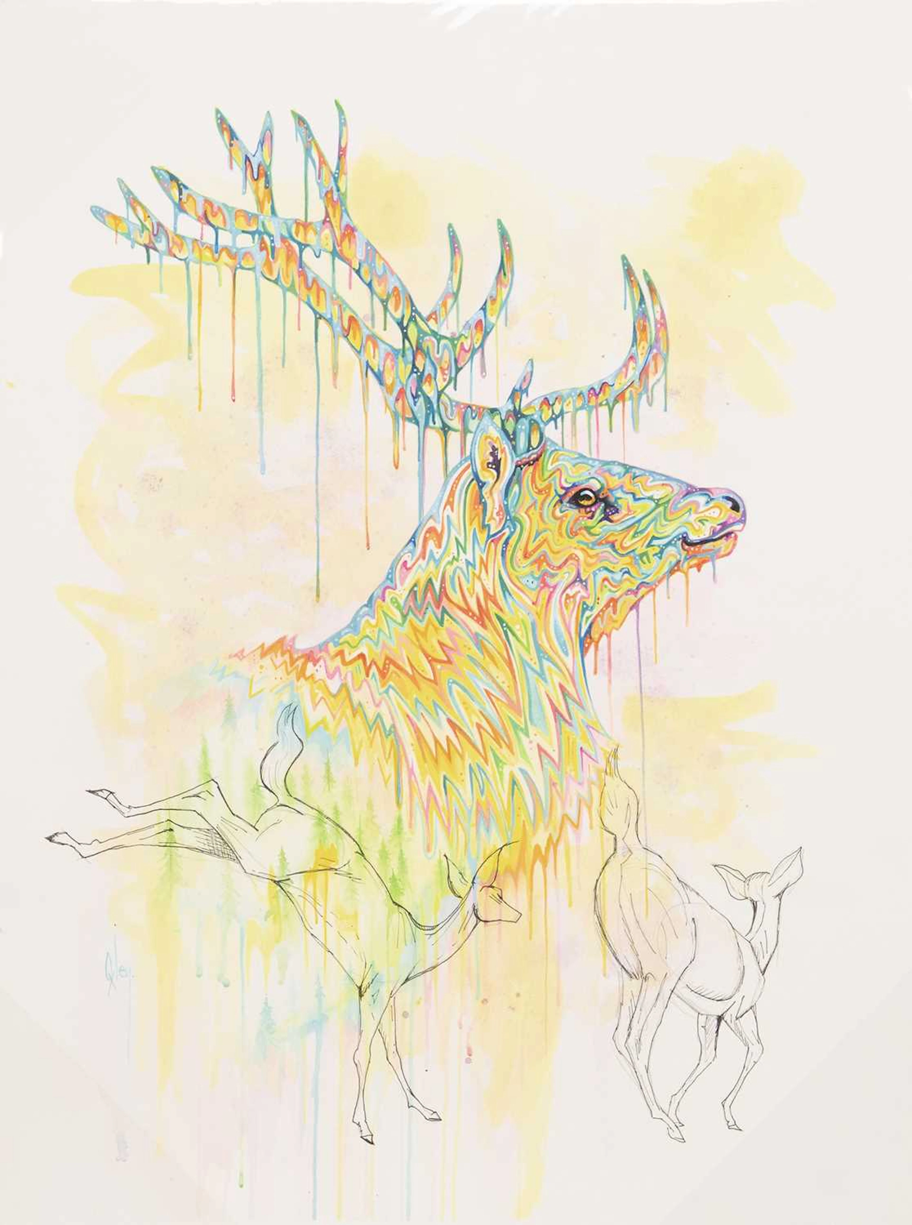 ROBERT OXLEY DAWN ON NATURE