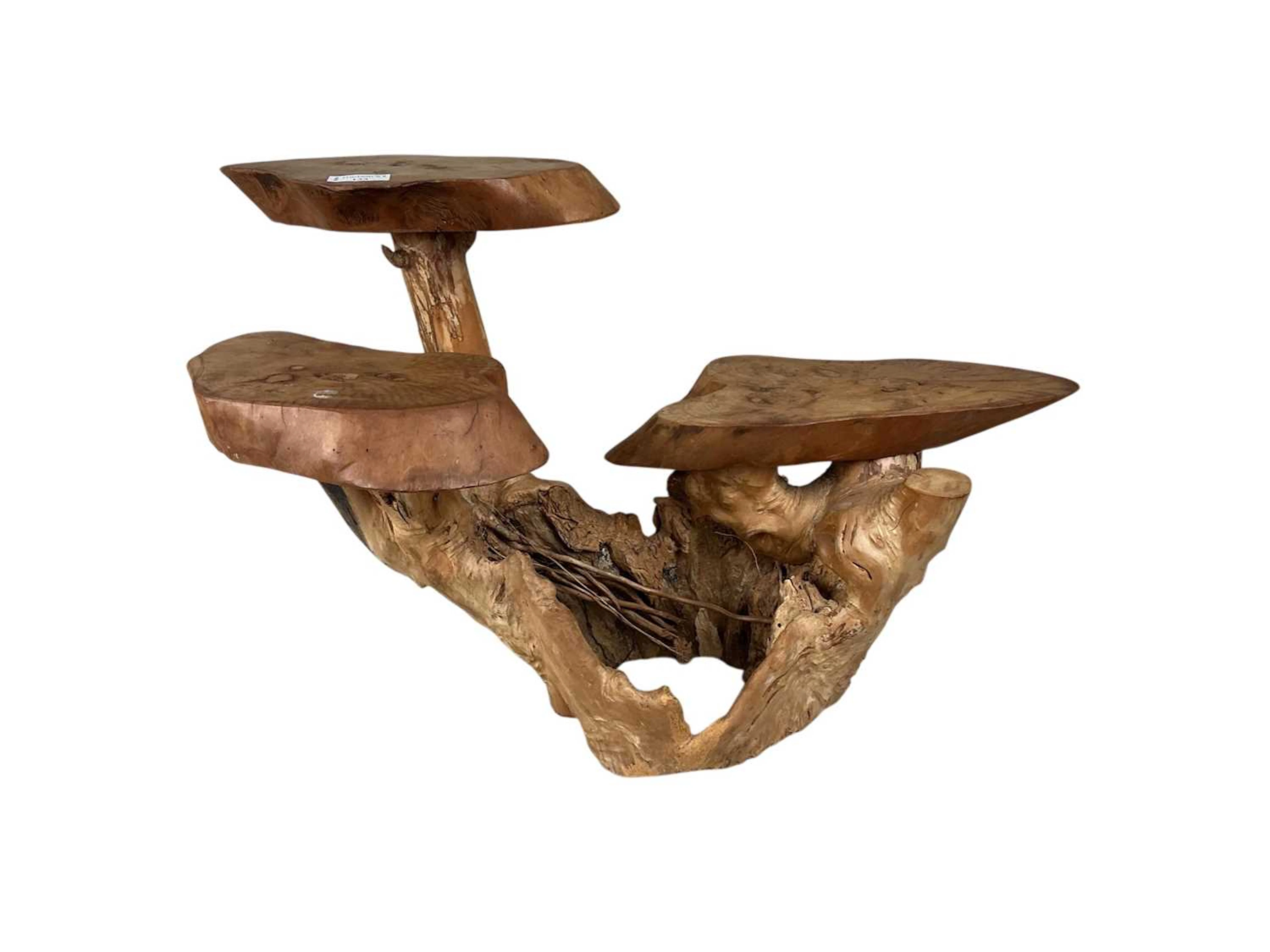 CONTEMPORARY ROOT WOOD SCULPTURE EARLY 21ST CENTURY