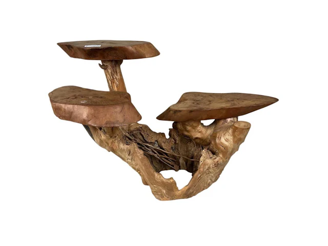 CONTEMPORARY ROOT WOOD SCULPTURE EARLY 21ST CENTURY