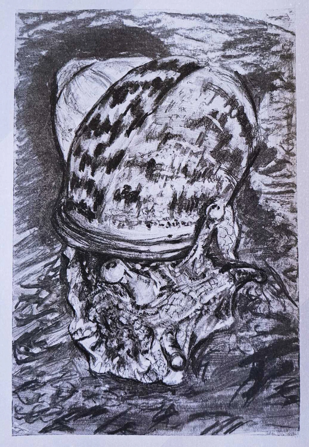 TOOTS SPILLED INK SNAILS PACE