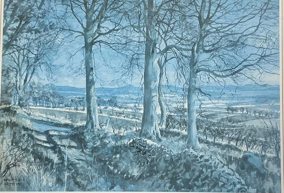 * JAMES MCINTOSH PATRICK OBE RSA ROI (SCOTTISH 1907 - 1998) WOODED LANDSCAPE