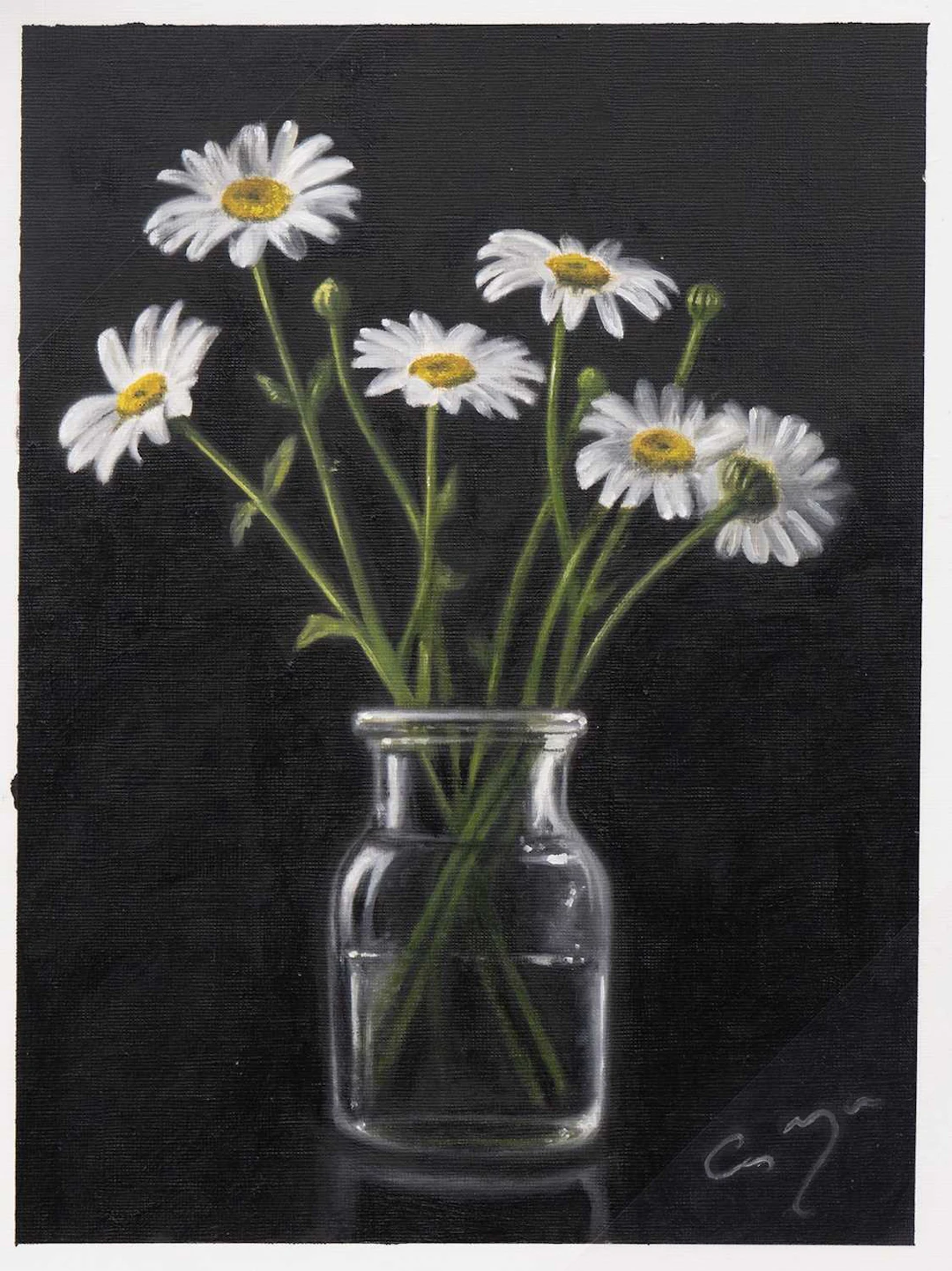 CHRIS MORGAN DAISIES