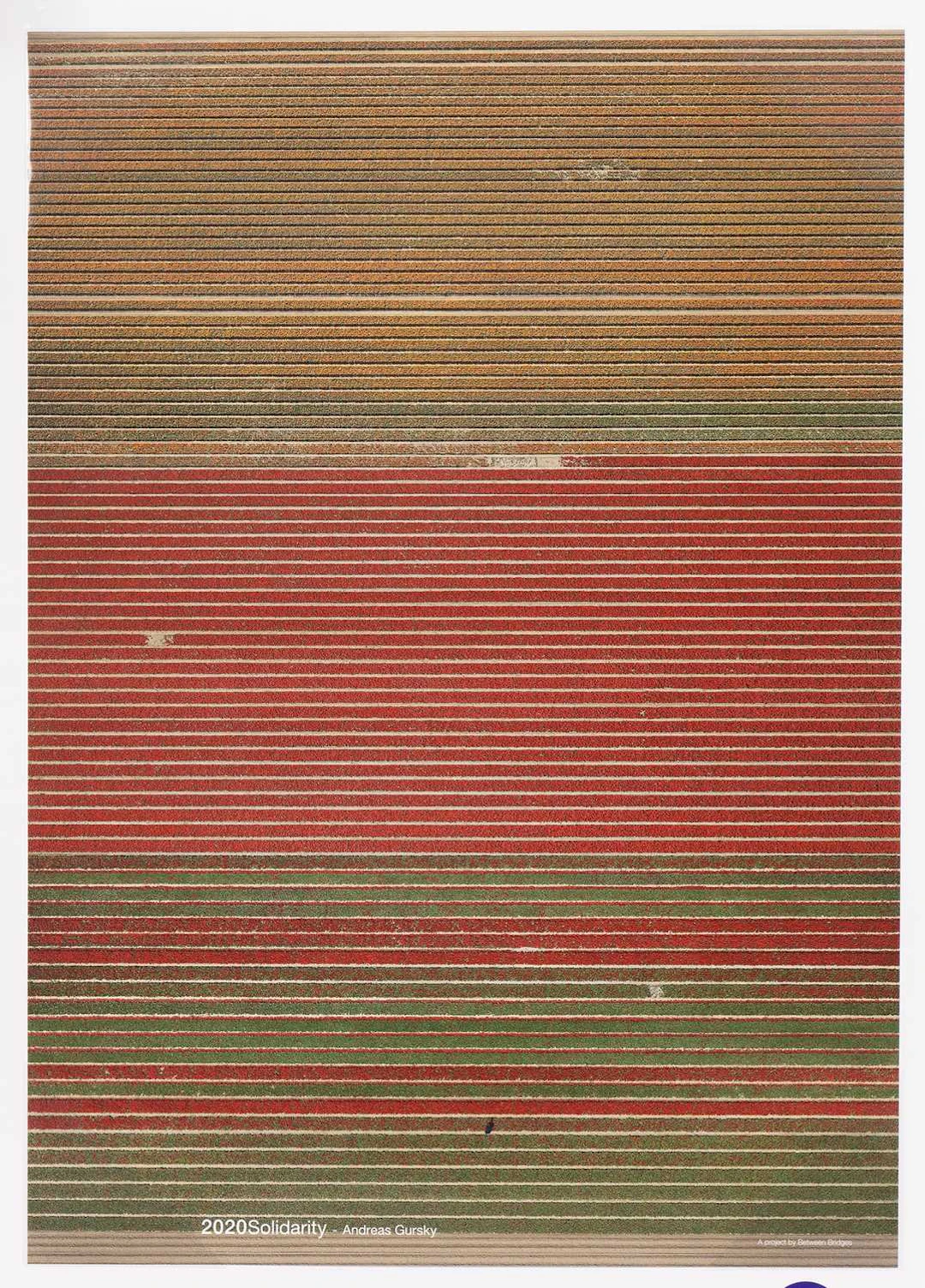 ANDREAS GURSKEY OHNE TITEL XVIII, 2015