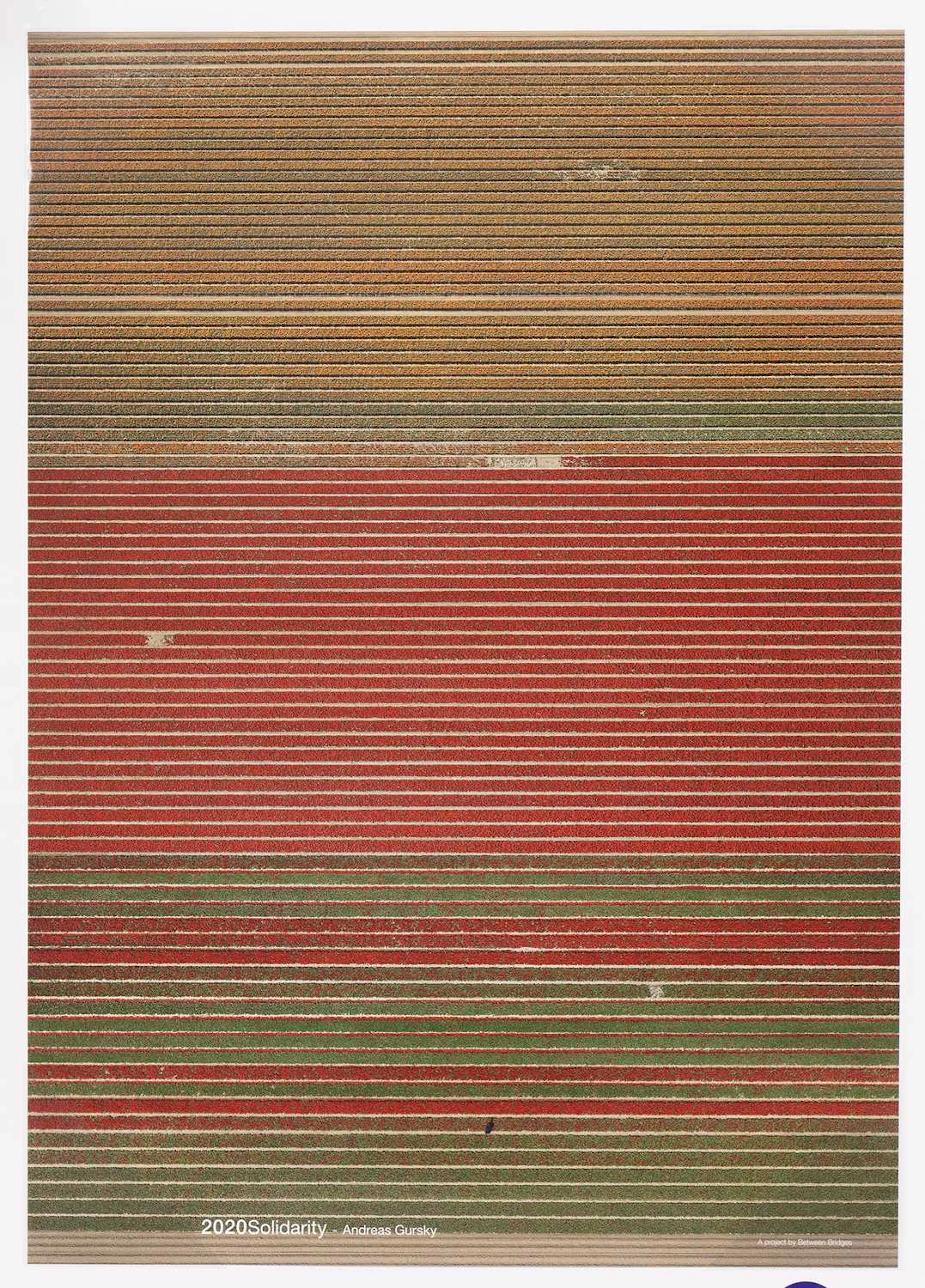 ANDREAS GURSKEY OHNE TITEL XVIII, 2015
