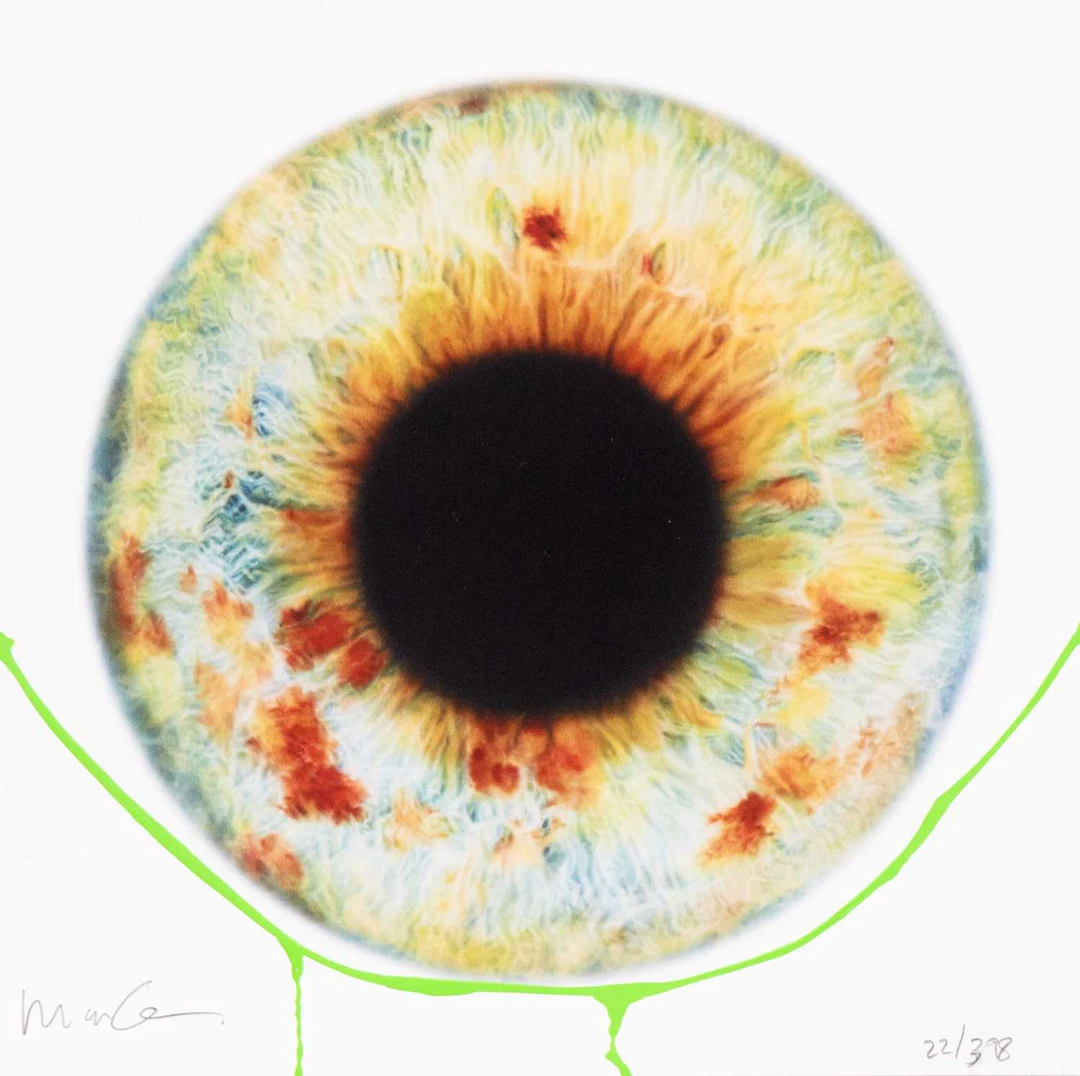 MARC QUINN SPECTRUM OF SENTIENCE, 2003